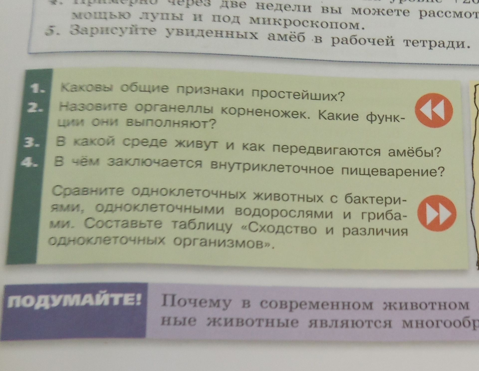 Фото задания: 5. Сравните одноклеточных животных с бактериями, одноклеточными водорослями и грибами. Составьте таблицу «Сходство и различия…
