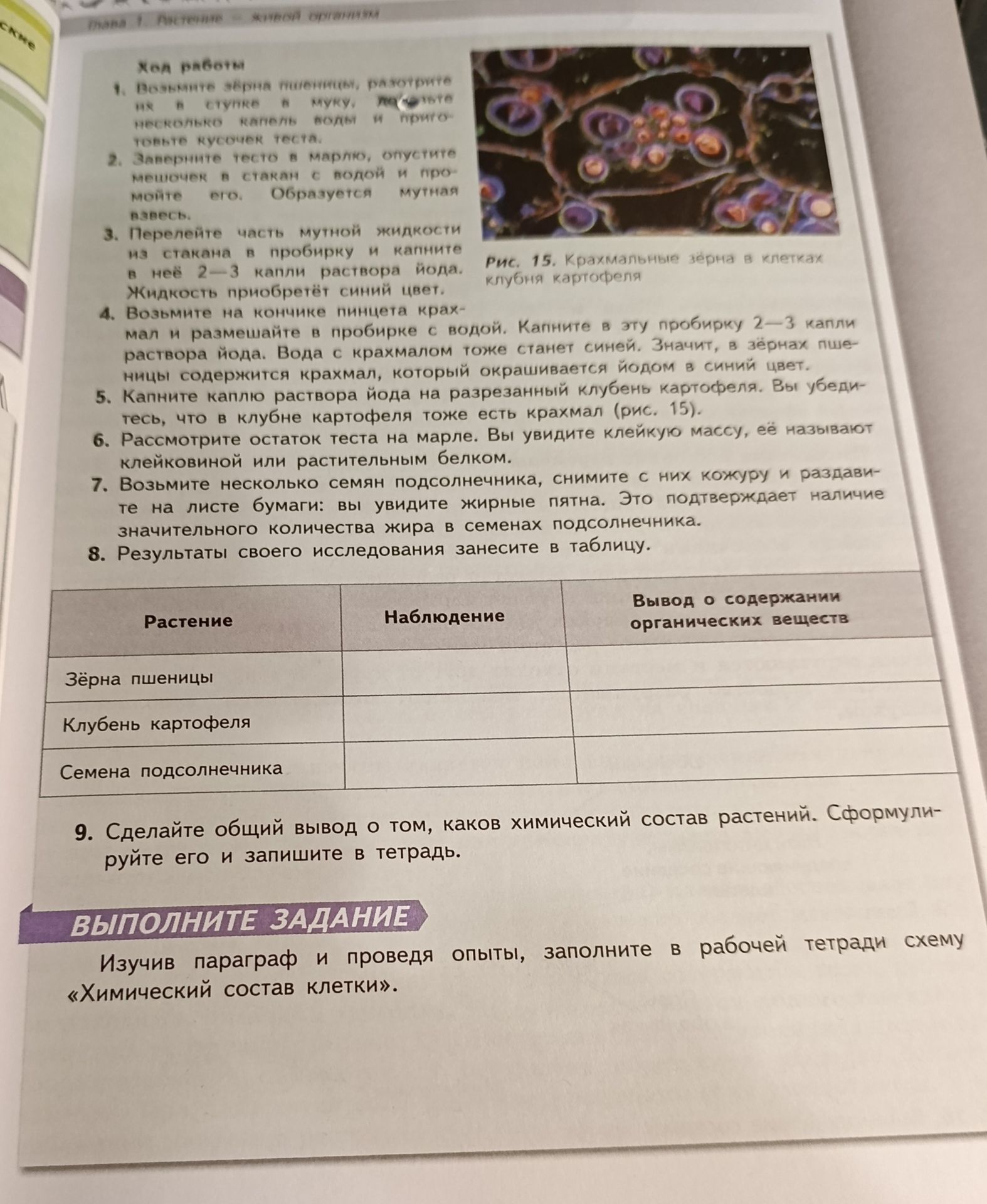 Фото задания: 8. Результаты своего исследования занесите в таблицу.