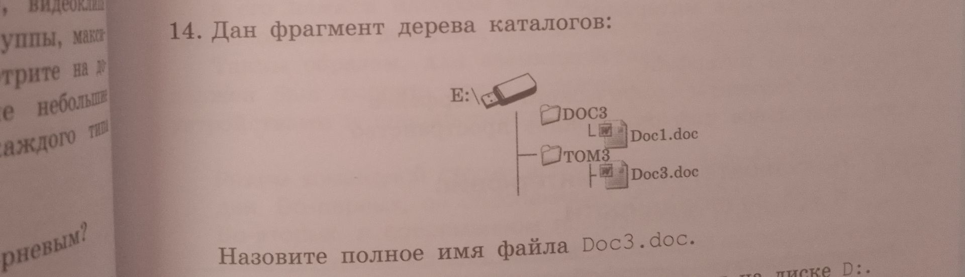 Фото задания: 14. Дан фрагмент дерева каталогов. Назовите полное имя файла Doc3.doc.