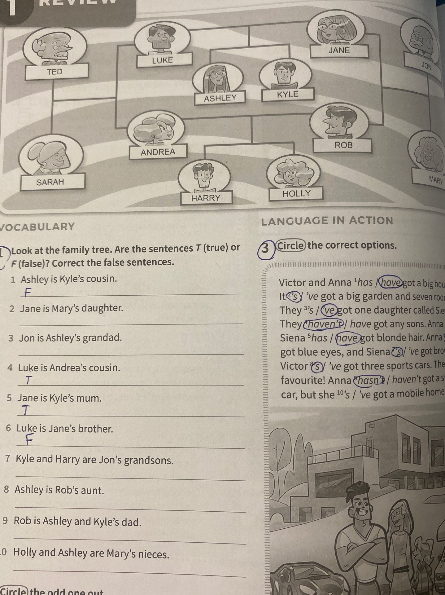 Фото задания: 1. Look at the family tree. Are the sentences T (true) or F (false)? Correct the false sentences. 1) Ashley is Kyle’s cousin.…
