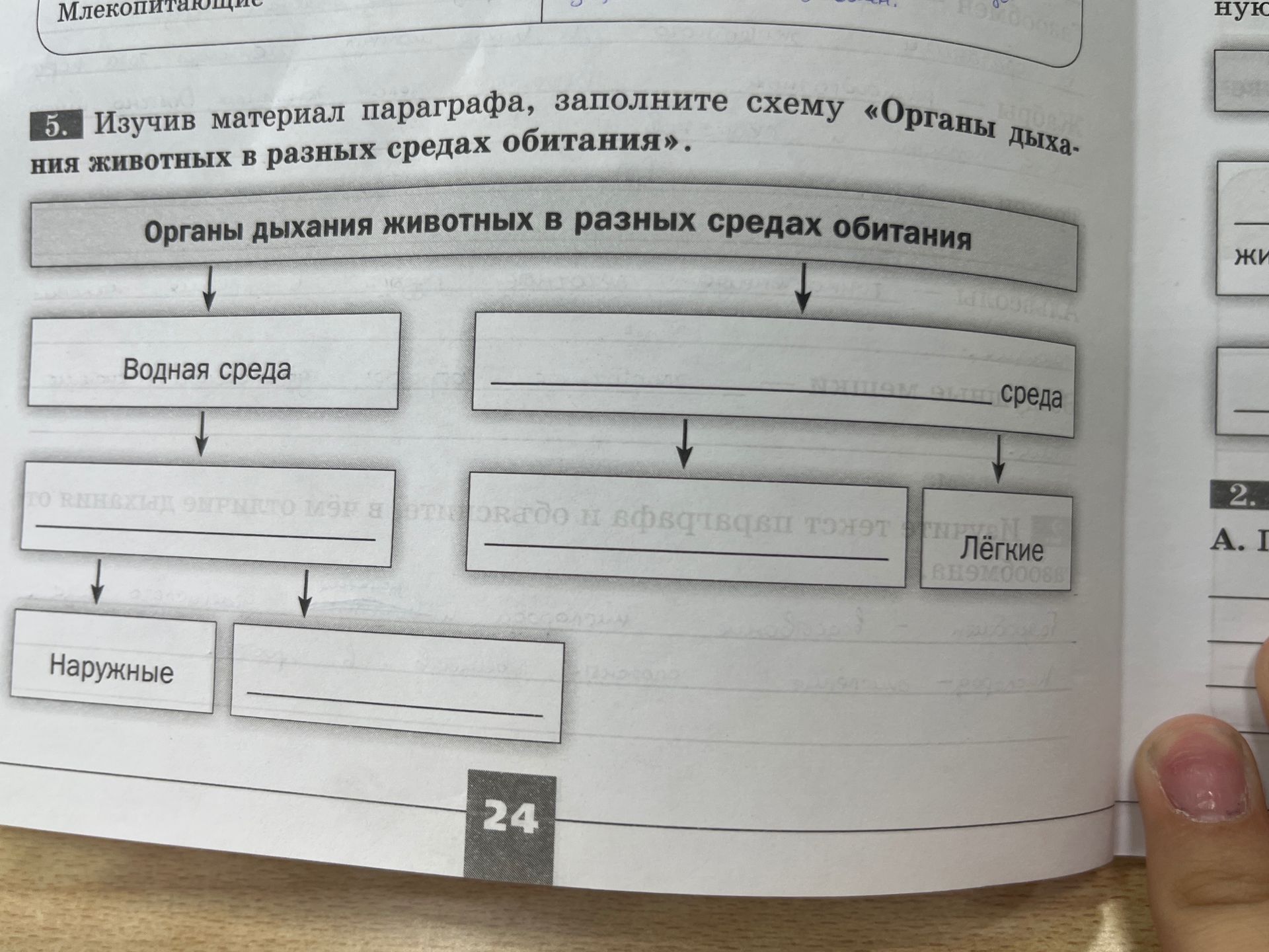 Фото задания: 5. Изучив материал параграфа, заполните схему «Органы дыхания животных в разных средах обитания».