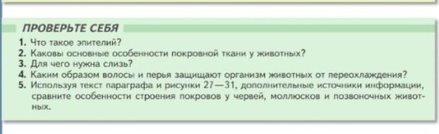 Фото задания: 4. Каким образом волосы и перья защищают организм животных от переохлаждения?