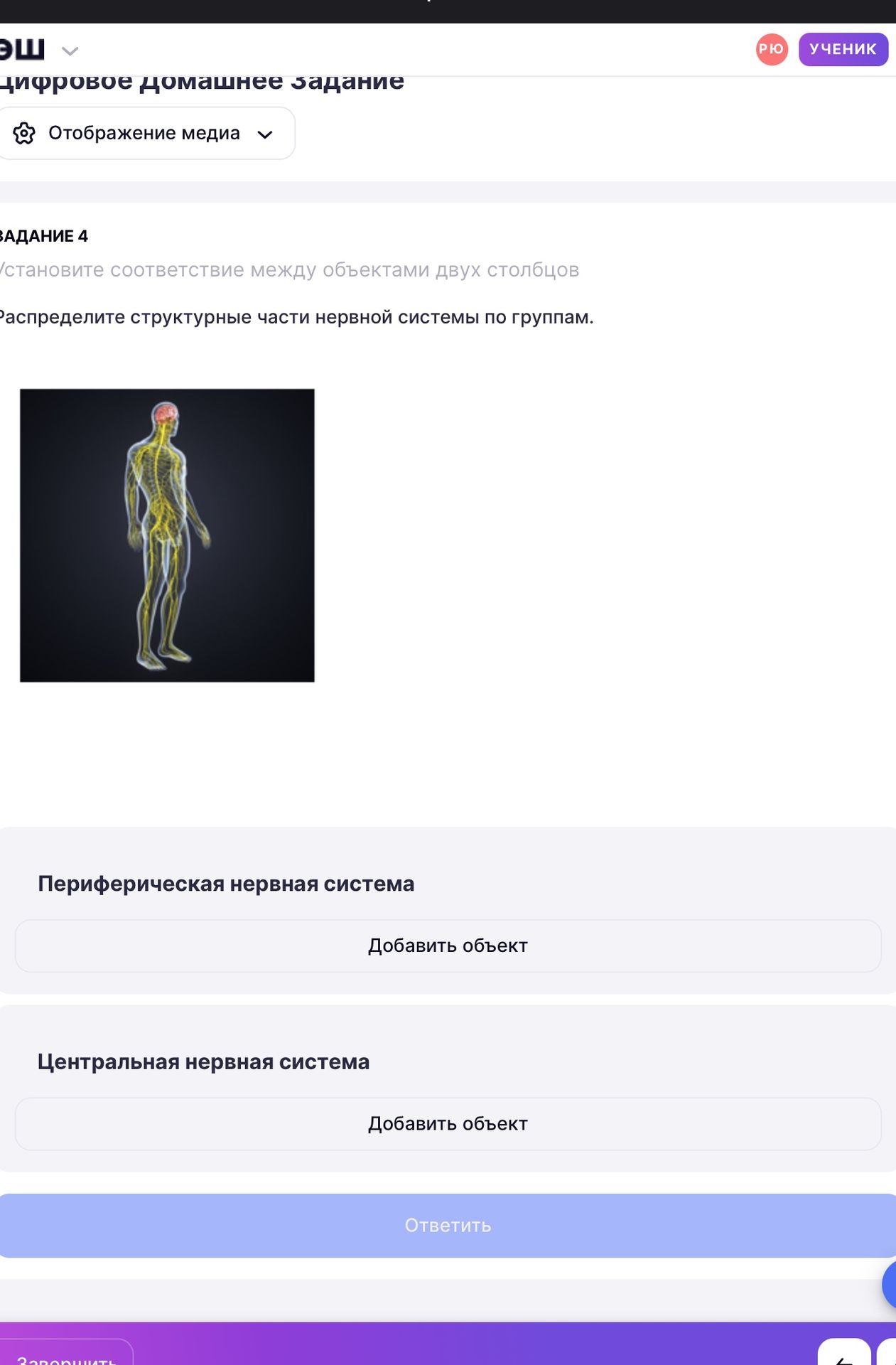Фото задания: Задание 4: «Распределите структурные части нервной системы по группам»: периферическая нервная система и центральная…