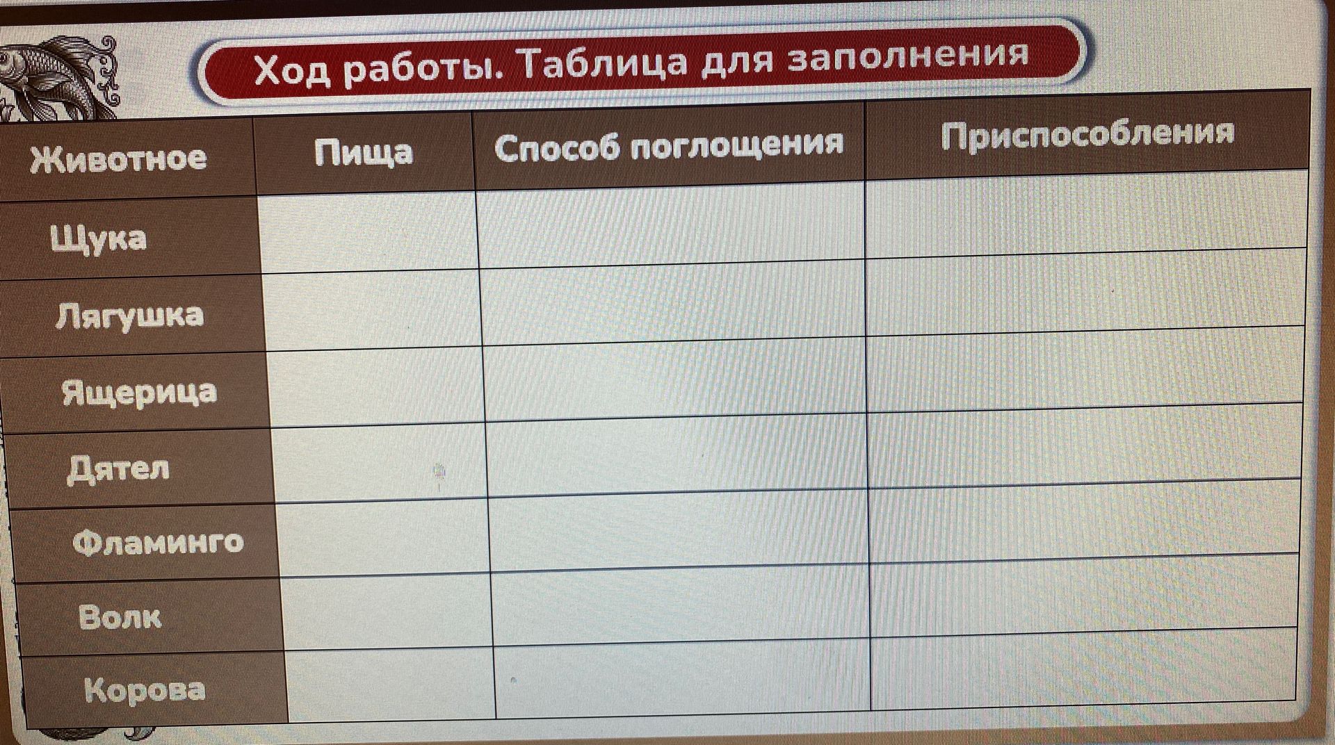 Фото задания: Ход работы. Заполни таблицу: животное, пища, способ поглощения пищи, приспособления. Животные: щука, лягушка, ящерица, дятел,…