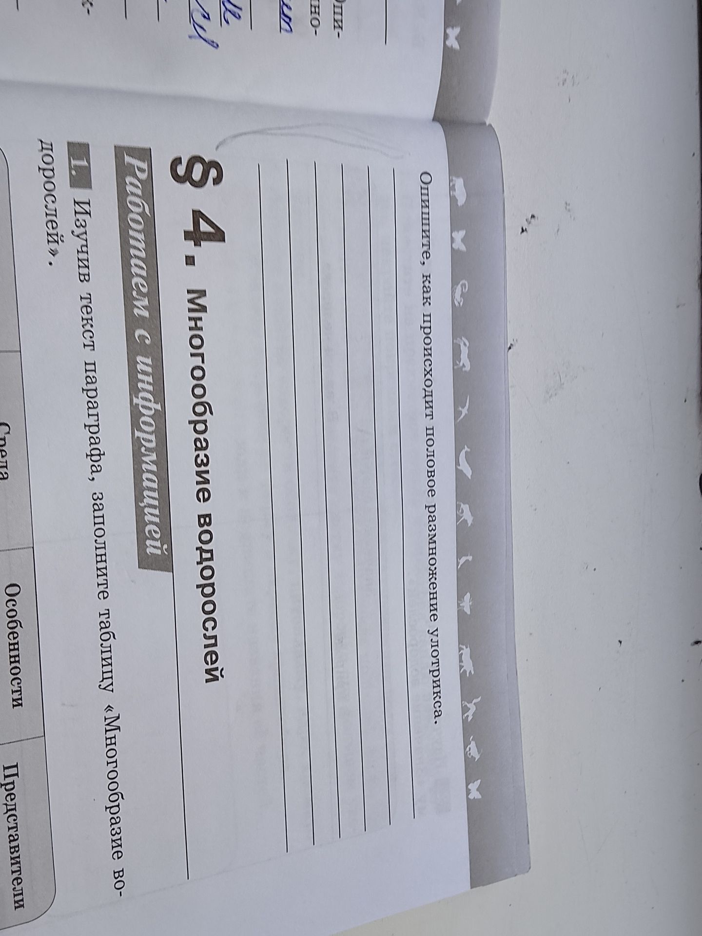 Фото задания: Опишите, как происходит половое размножение угорька.