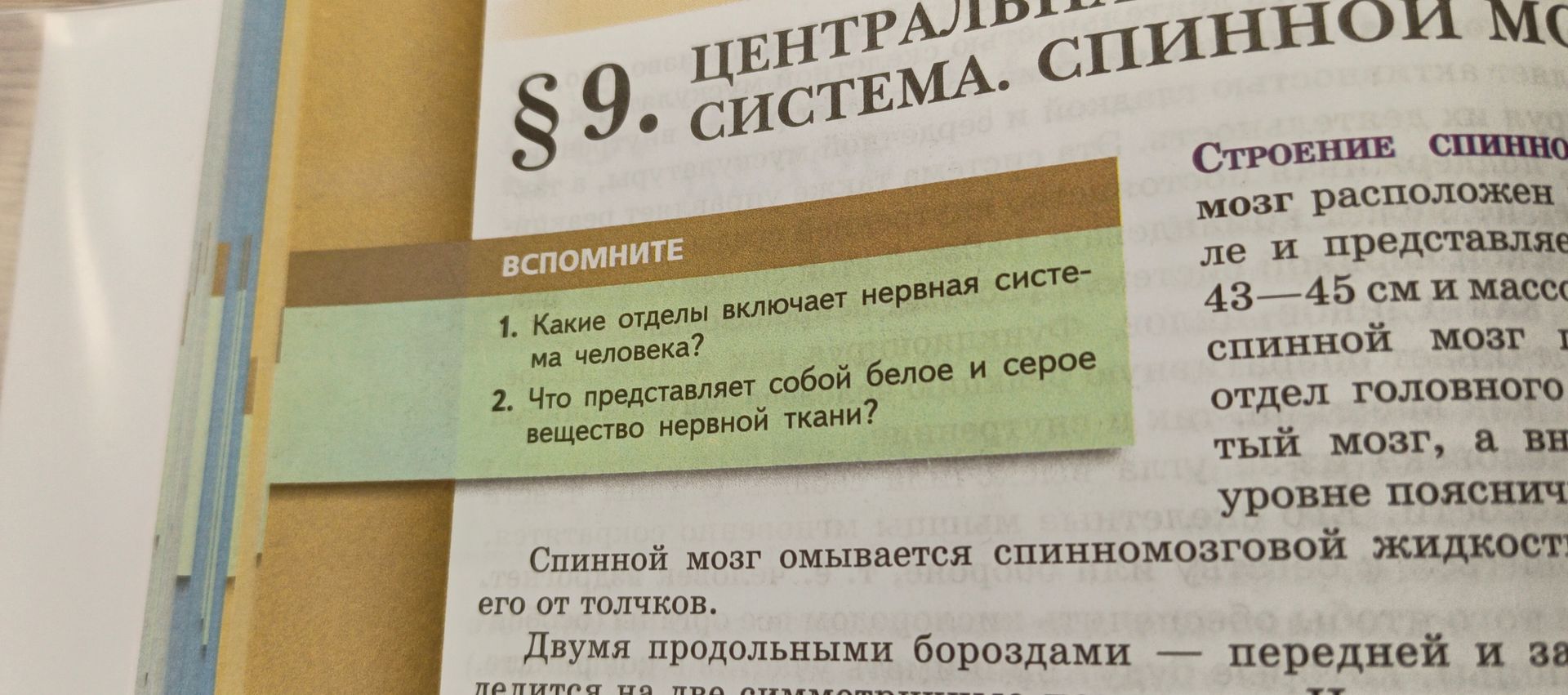 Фото задания: 1. Какие отделы включает нервная система человека?