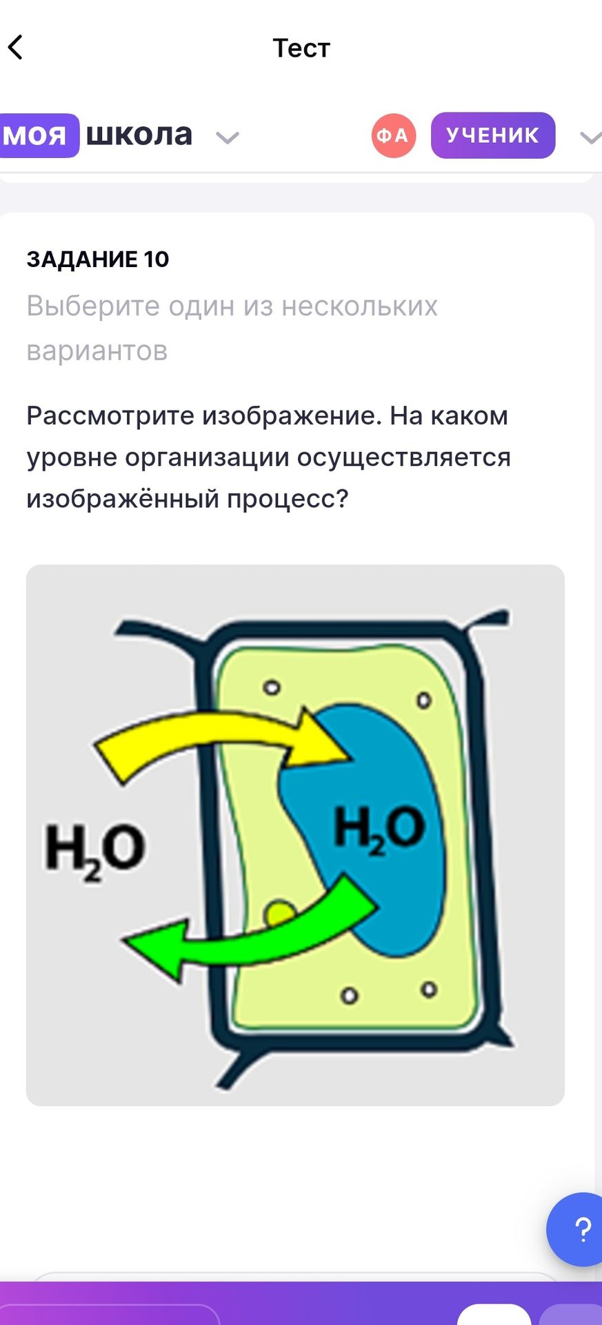 Фото задания: Задание 10. Рассмотрите изображение. На каком уровне организации осуществляется изображённый процесс?