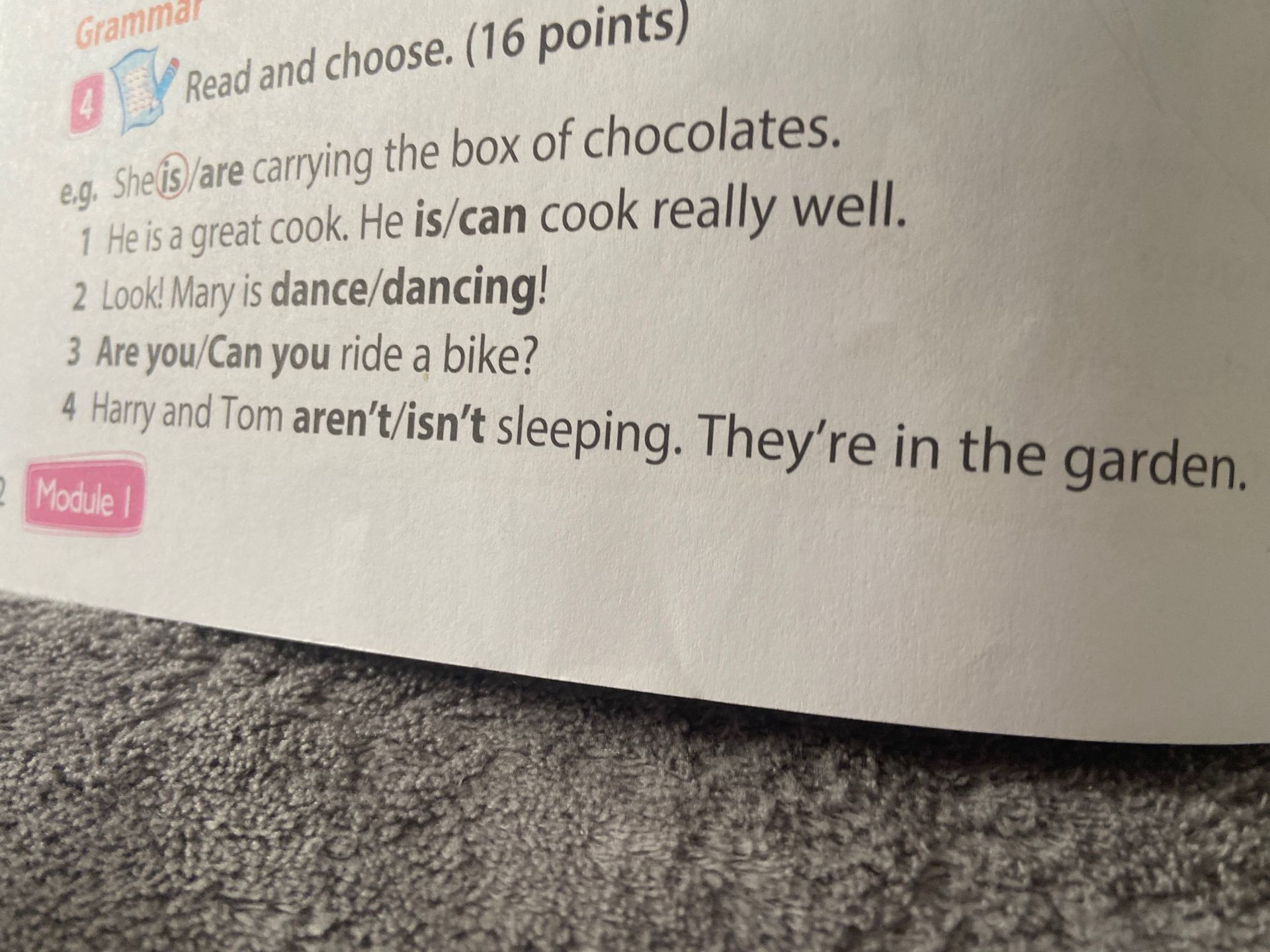 Фото задания: 4. Read and choose. 1) He is a great cook. He is/can cook really well. 2) Look! Mary is dance/dancing! 3) Are you/Can you…
