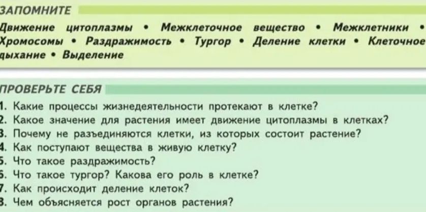 Фото задания: Почему не разъединяются клетки, из которых состоит растение?