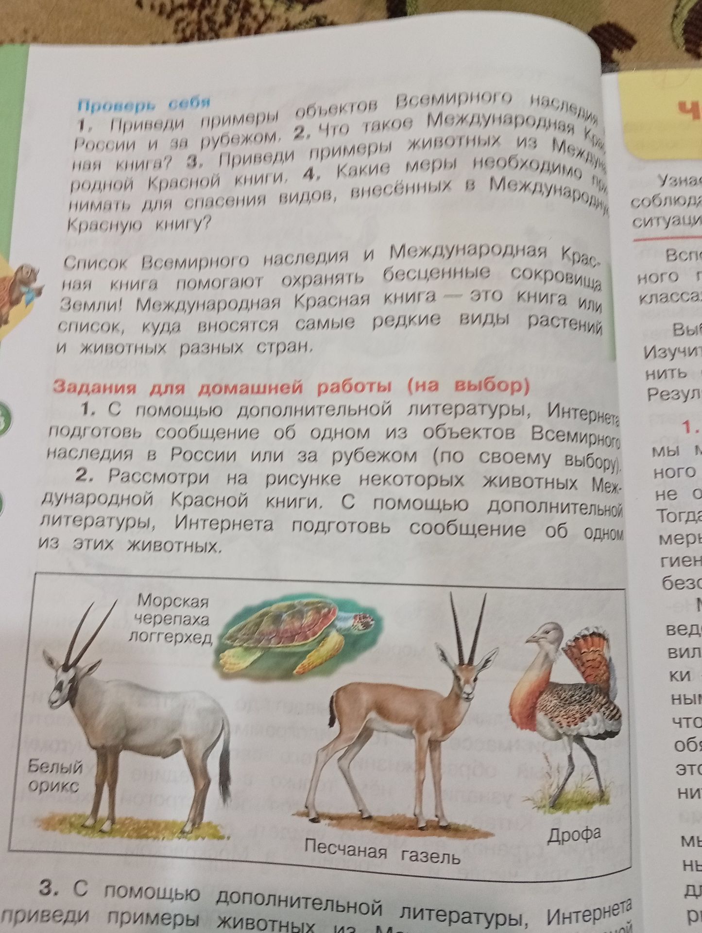 Фото задания: Задания для домашней работы (на выбор). 3. С помощью дополнительной литературы, Интернета приведи примеры животных из…