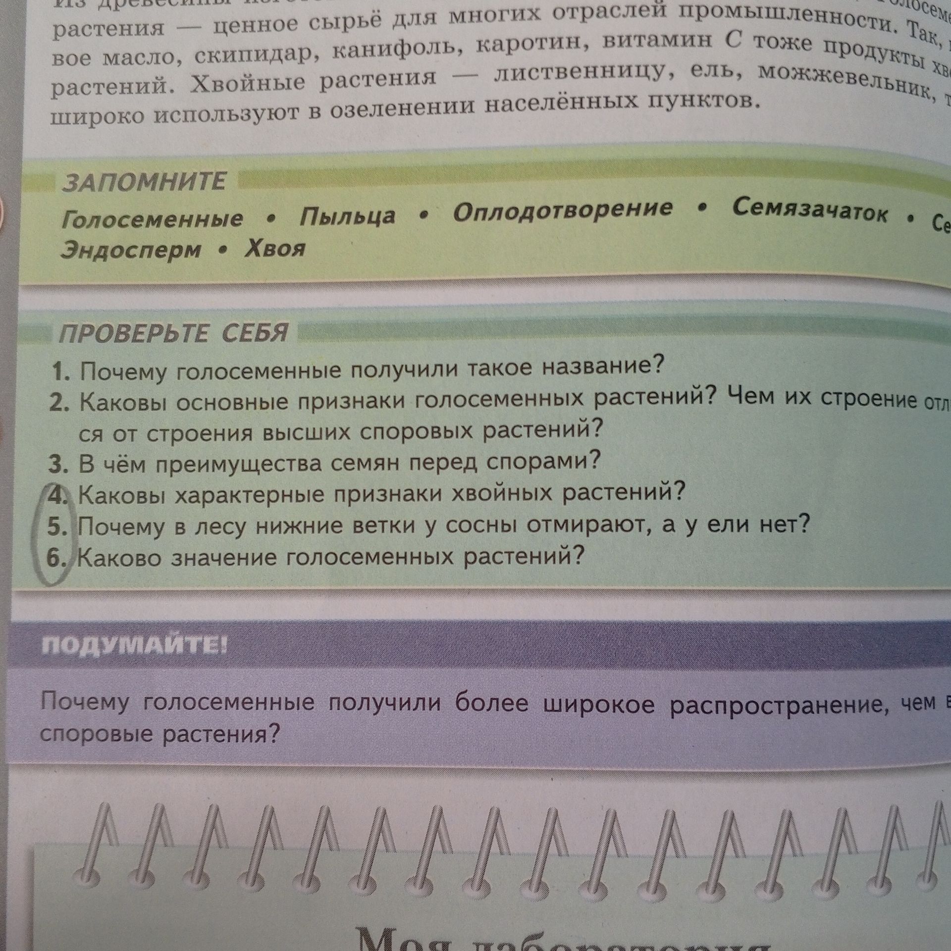 Фото задания: 3. В чём преимущества семян перед спорами?