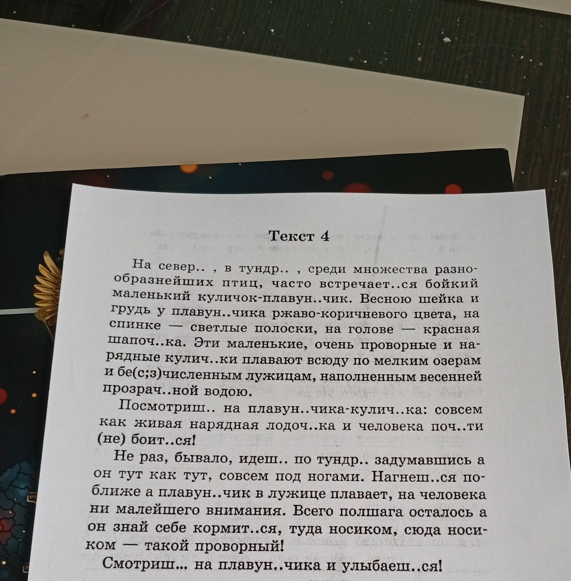 Фото задания: Текст 4: На север.., в тундр.., среди множества разнообразнейших птиц, часто встречает..ся бойкий маленький…