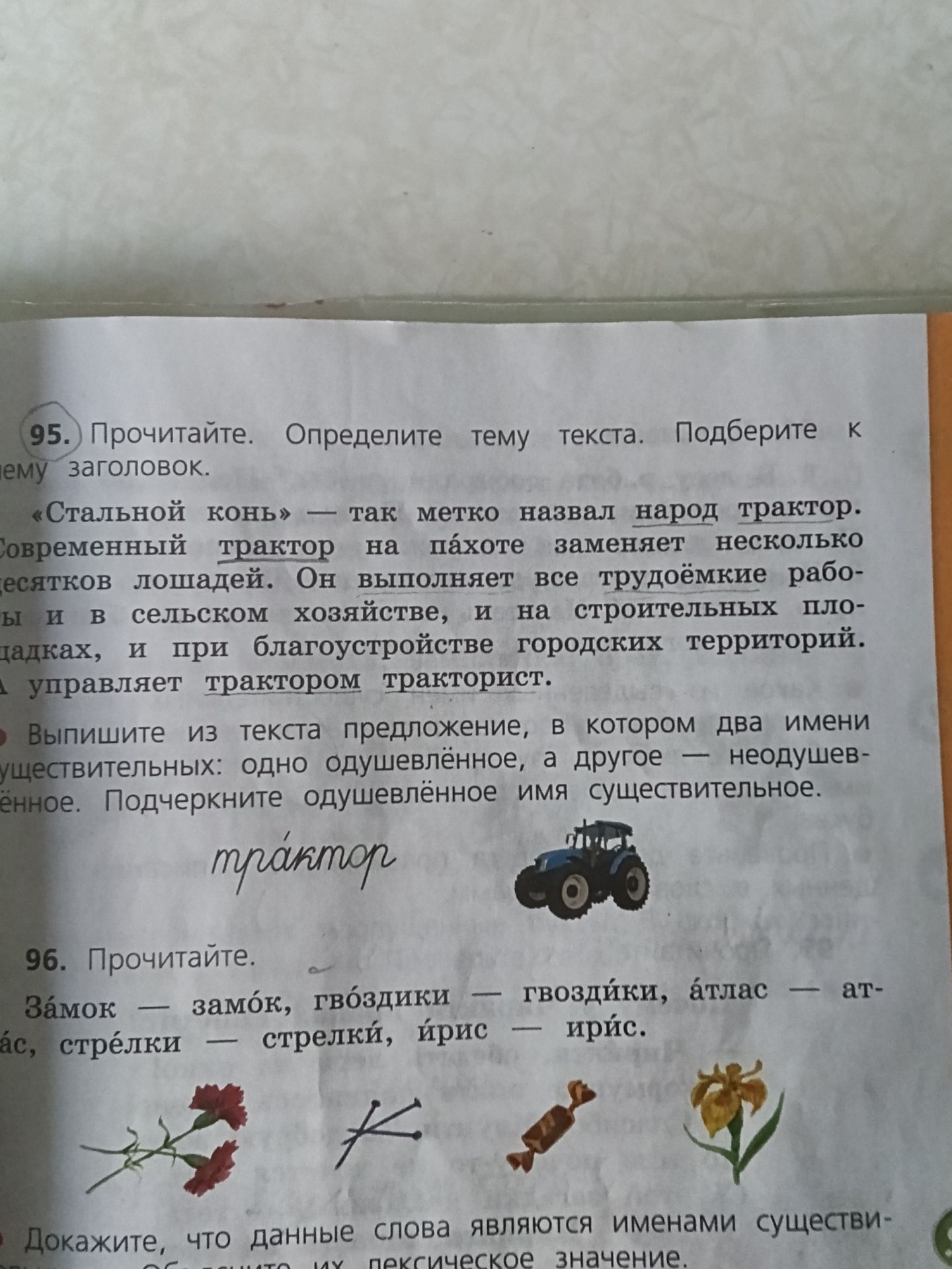 Фото задания: 96. Прочитайте. Замок — замок, гвоздики — гвоздики, атлас — атлас, стрелки — стрелки, ирис — ирис. Докажите, что данные слова…