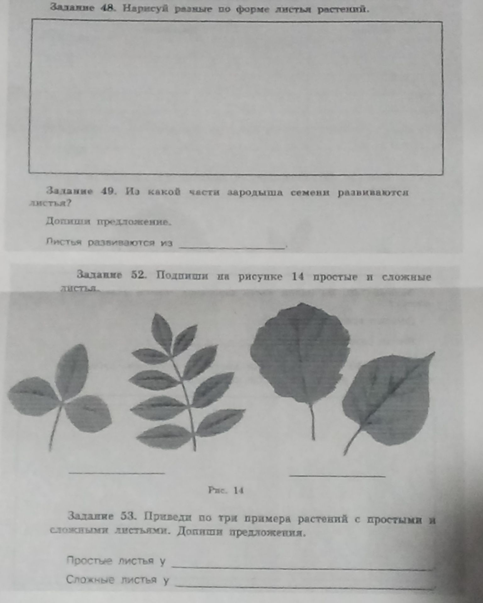 Фото задания: Задание 48. Нарисуй разные по форме листья растений.