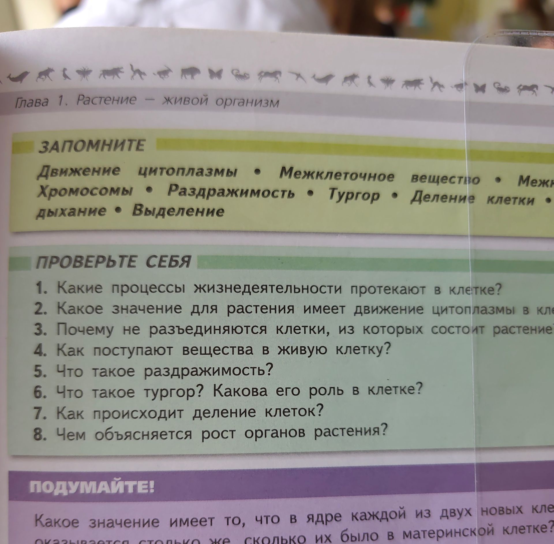Фото задания: Какое значение имеет то, что в ядре каждой из двух новых клеток оказывается столько же хромосом, сколько их было в…