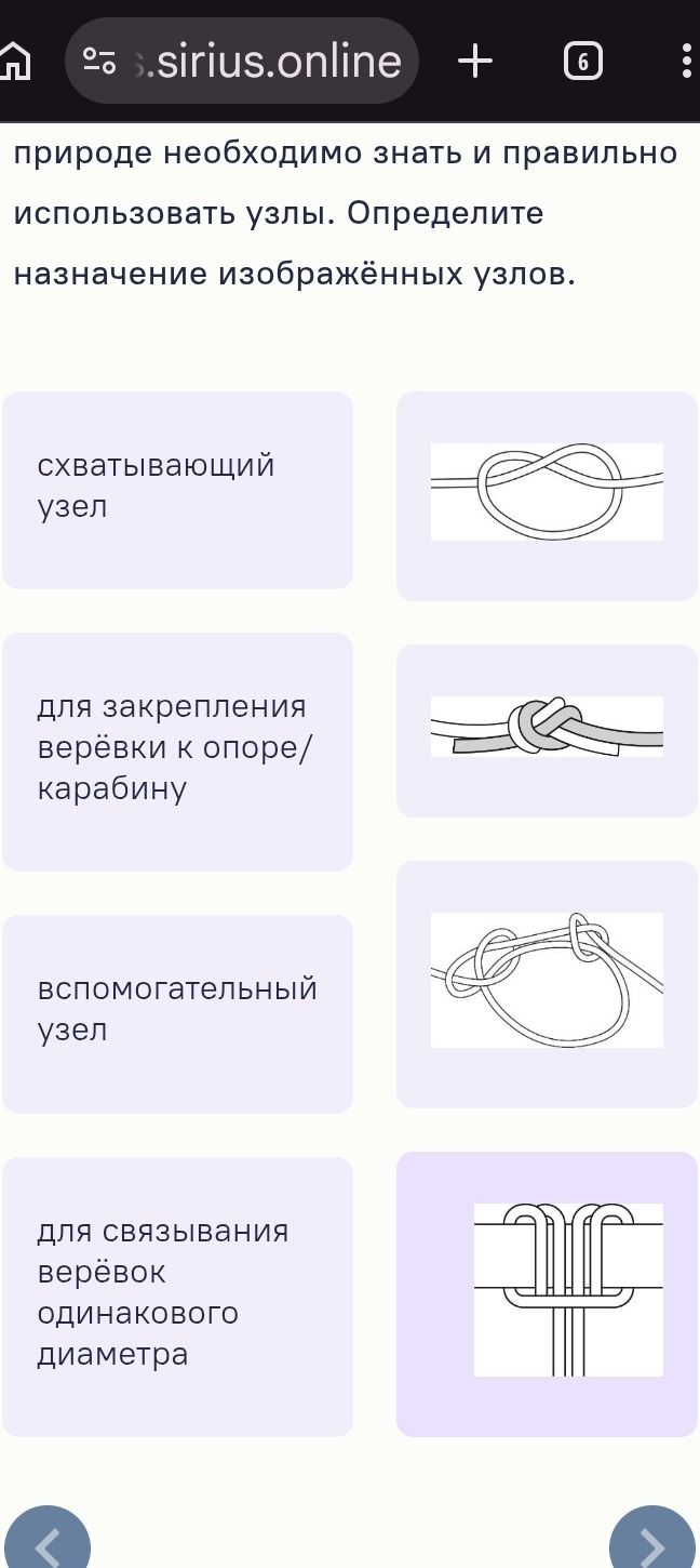 Фото задания: Определите назначение изображённых узлов: схватывающий узел; для закрепления верёвки к опоре/карабину; вспомогательный…