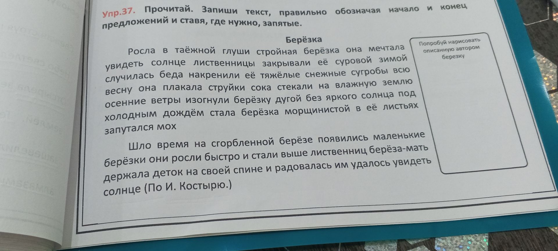 Фото задания: Упр. 37. Прочитай. Запиши текст, правильно обозначая начало и конец предложений и ставя, где нужно, запятые. «Берёзка» (по И.…