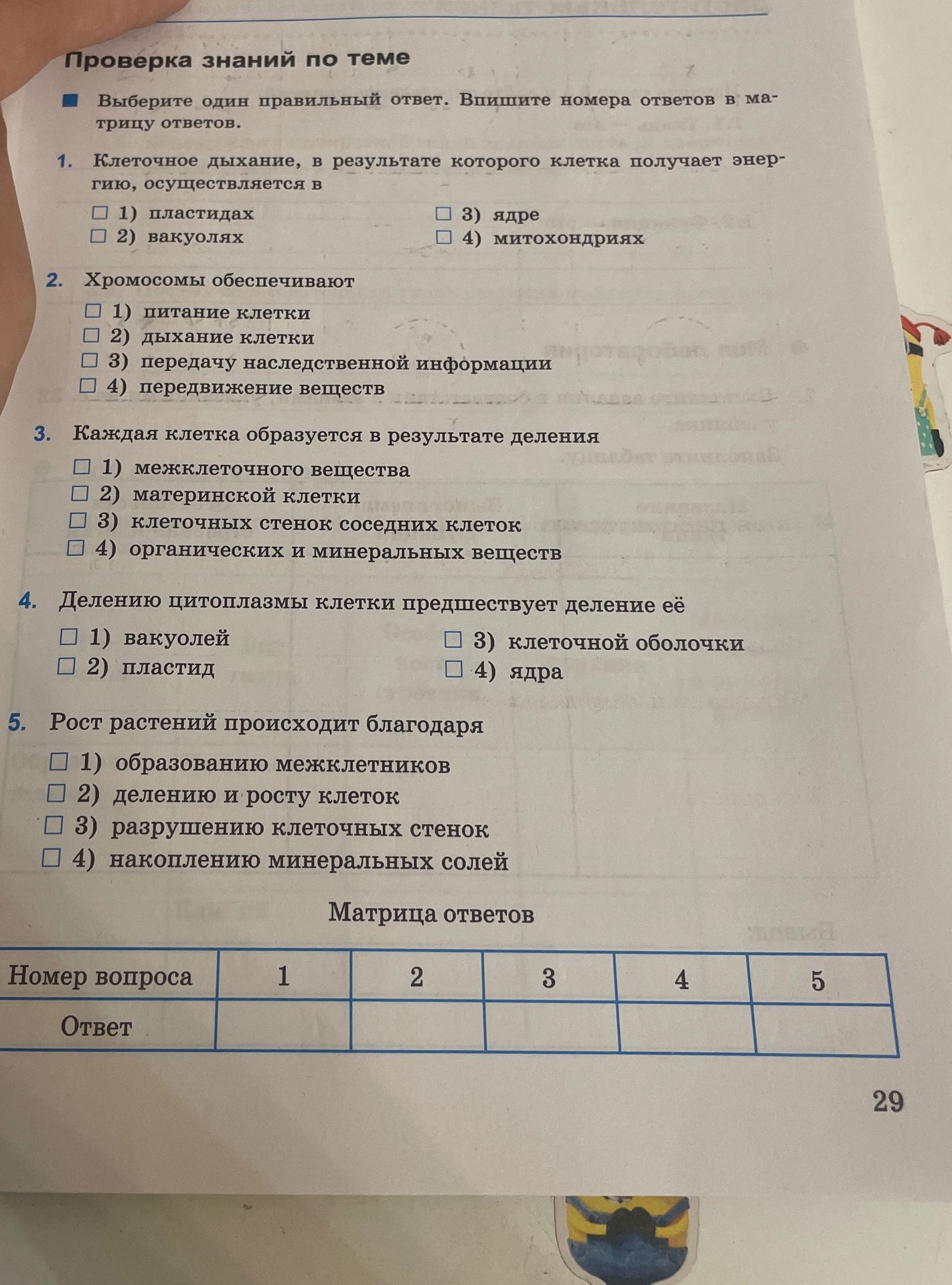 Фото задания: 5. Рост растений происходит благодаря: 1) образованию межклетников; 2) делению и росту клеток; 3) разрушению клеточных…