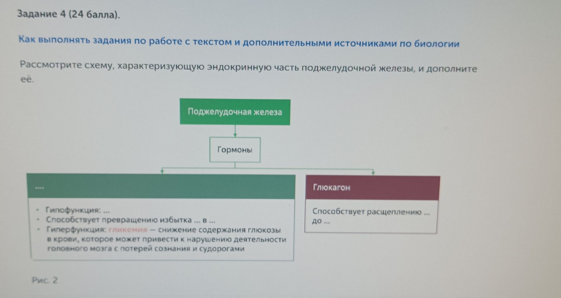 Фото задания: Задание 4. Рассмотрите схему, характеризующую эндокринную часть поджелудочной железы, и дополните её: [название гормона];…