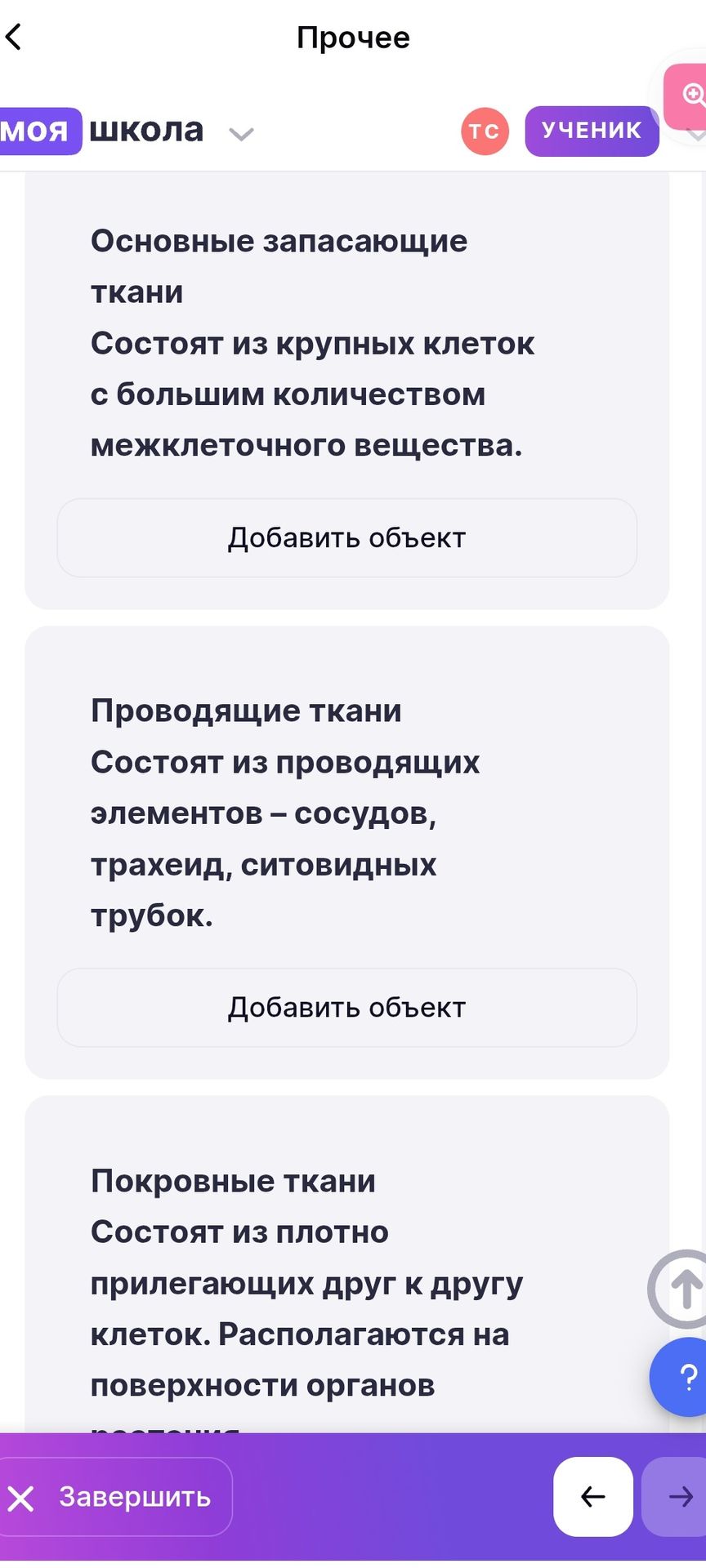 Фото задания: Основные запасающие ткани. Состоят из крупных клеток с большим количеством межклеточного вещества.