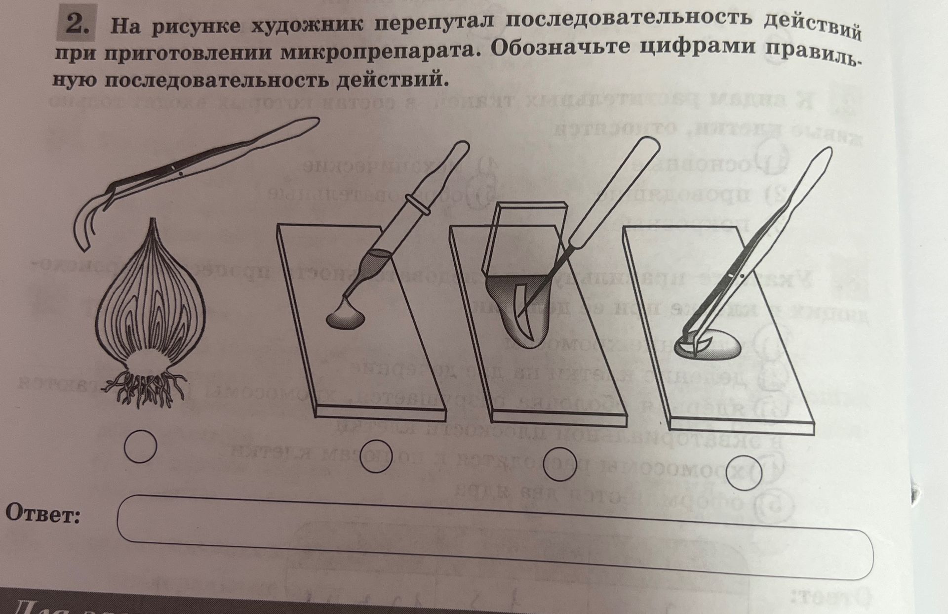 Фото задания: 2. На рисунке художник перепутал последовательность действий при приготовлении микропрепарата. Обозначьте цифрами…
