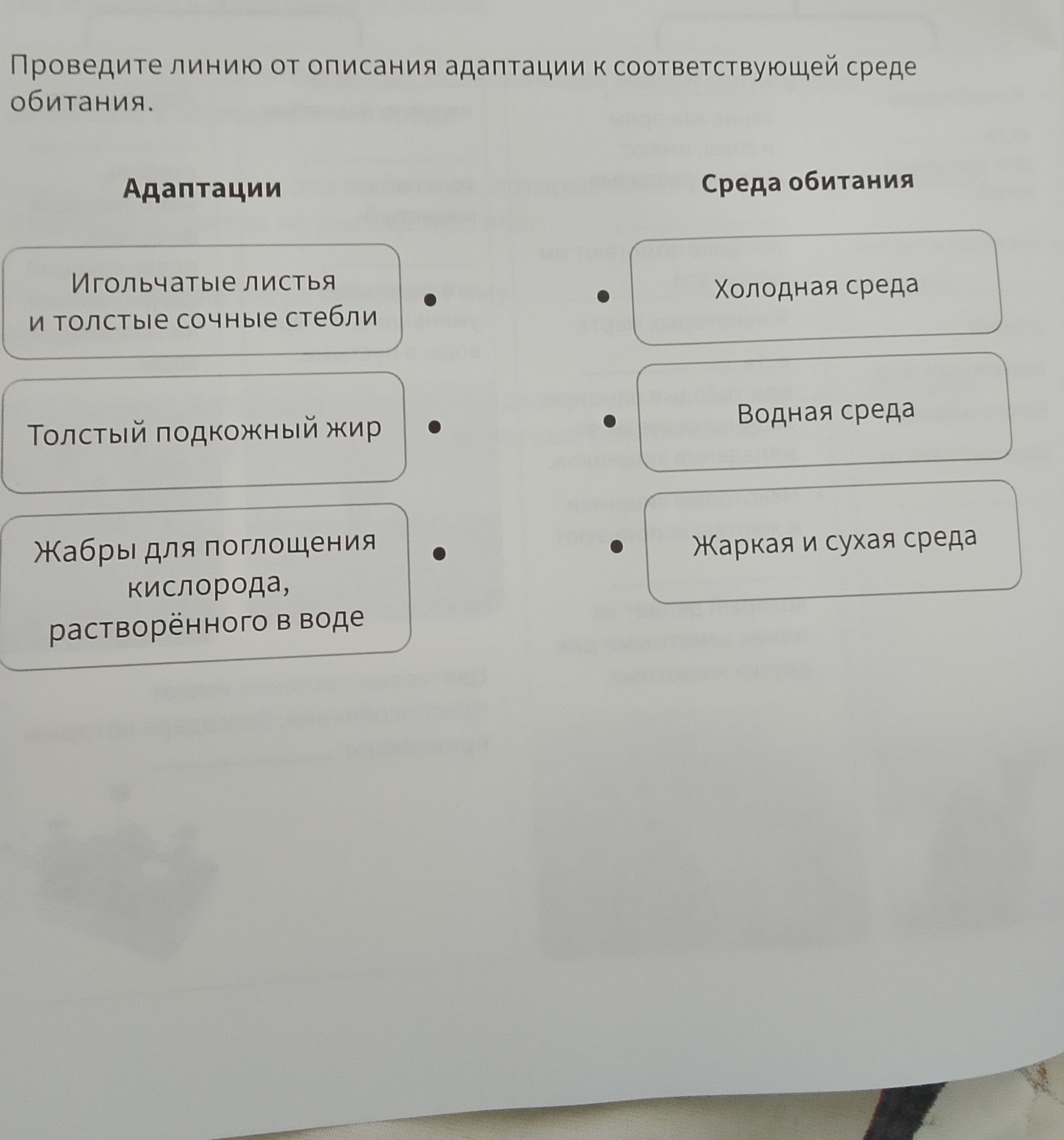 Фото задания: Проведите линию от описания адаптации к соответствующей среде обитания: игольчатые листья и толстые сочные стебли; толстый…