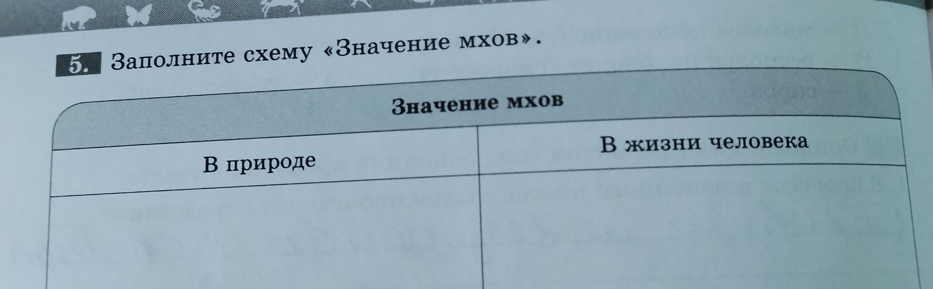 Фото задания: 5. Заполните схему «Значение мхов»: «В природе» и «В жизни человека».