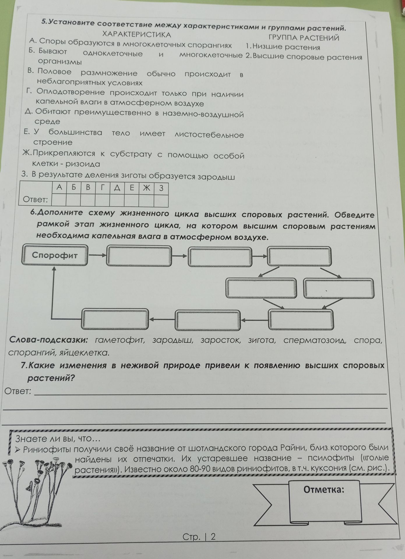 Фото задания: 6. Дополните схему жизненного цикла высших споровых растений. Обведите рамкой этап жизненного цикла, на котором высшим…