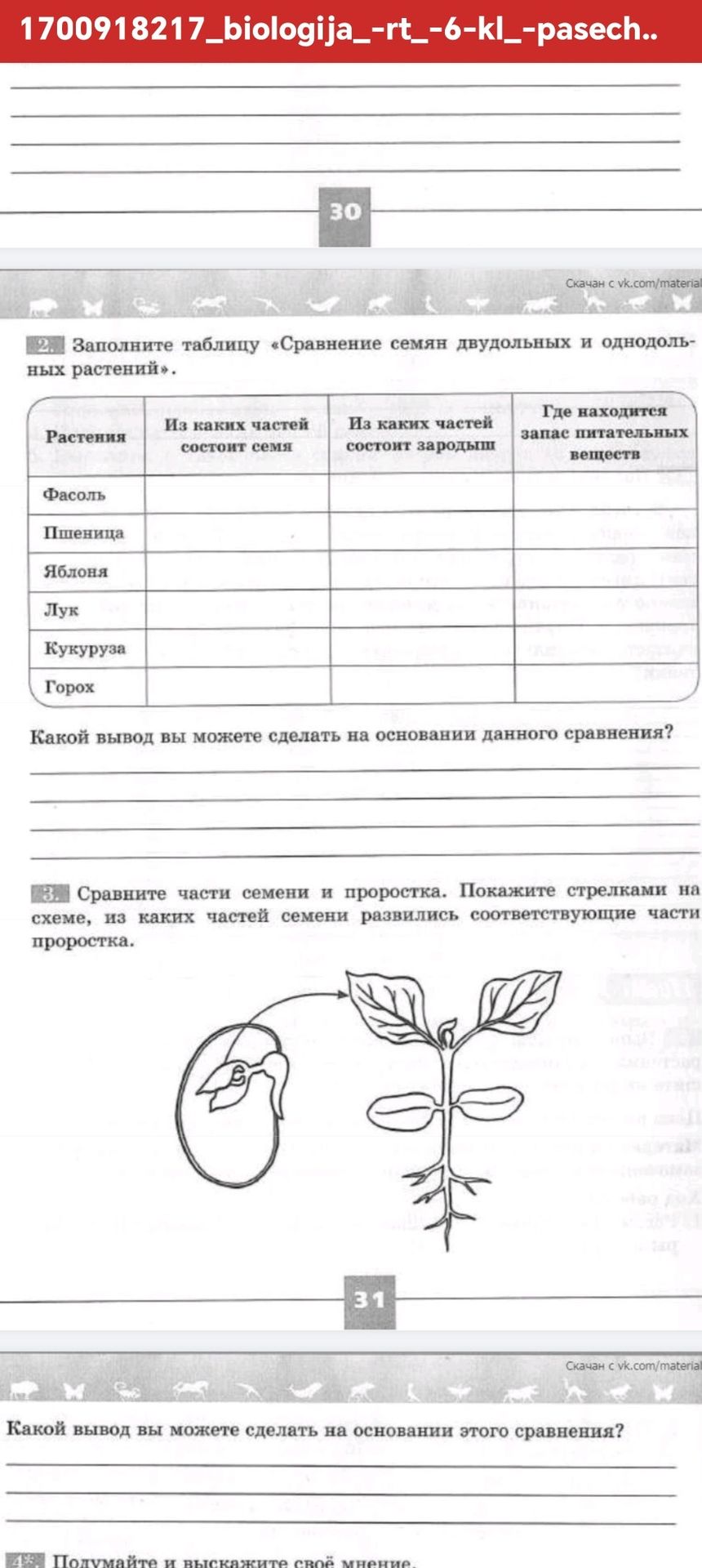Фото задания: 3. Сравните части семени и проростка. Покажите стрелками на схеме, из каких частей семени развились соответствующие части…