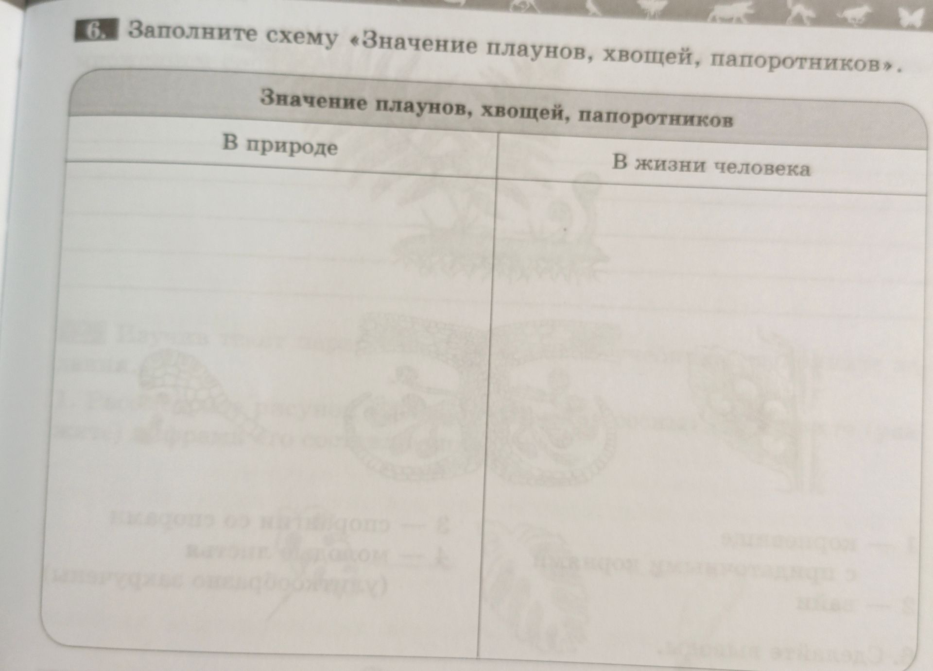 Фото задания: 6. Заполните схему «Значение плаунов, хвощей, папоротников»: «В природе»; «В жизни человека».