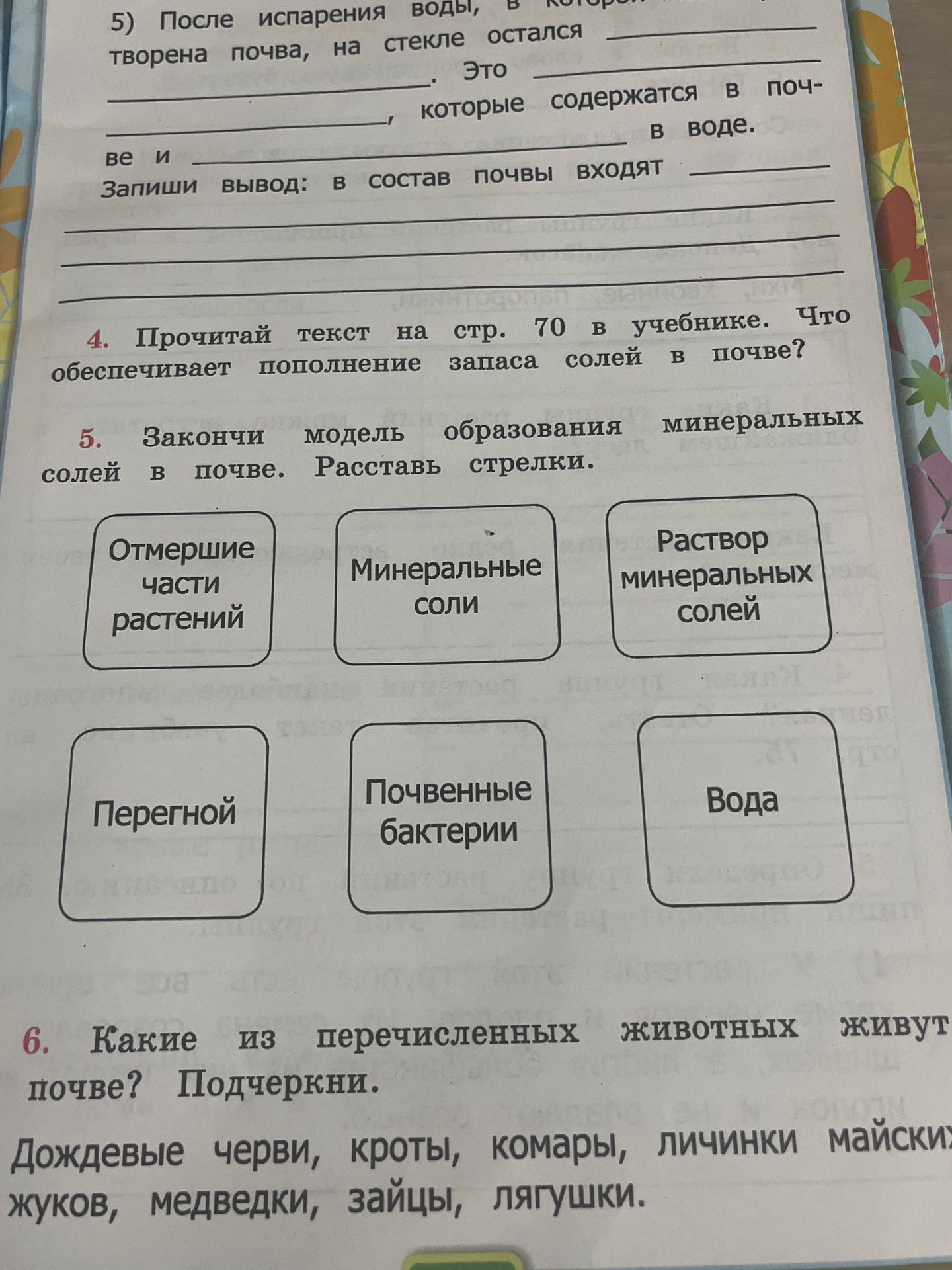 Фото задания: 5. Закончи модель образования минеральных солей в почве. Расставь стрелки.