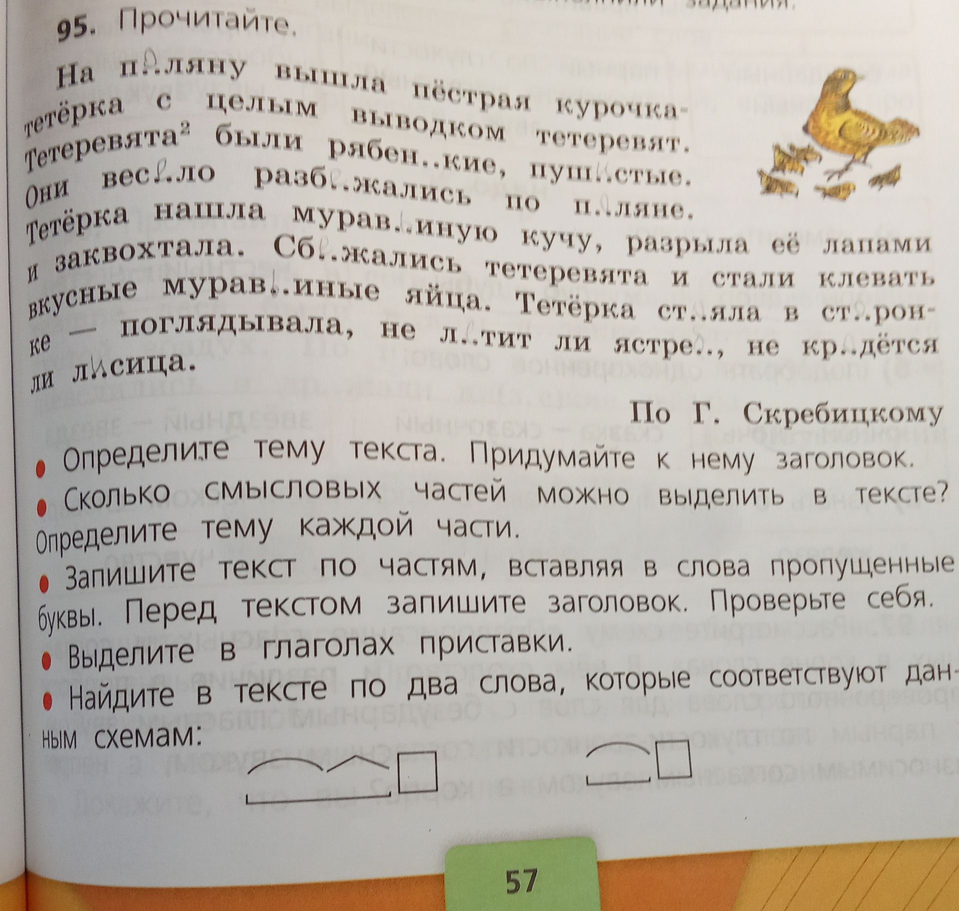 Фото задания: 95. Прочитайте. На п..ляну вышла пёстрая курочка-тетёрка с целым выводком тетеревят. Тетеревята² были роб..кие, пуш..стые.…
