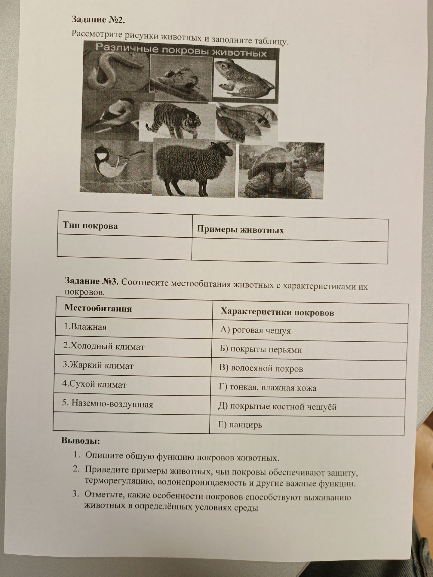 Фото задания: Задание №2. Рассмотрите рисунки животных и заполните таблицу «Тип покрова — Примеры животных».