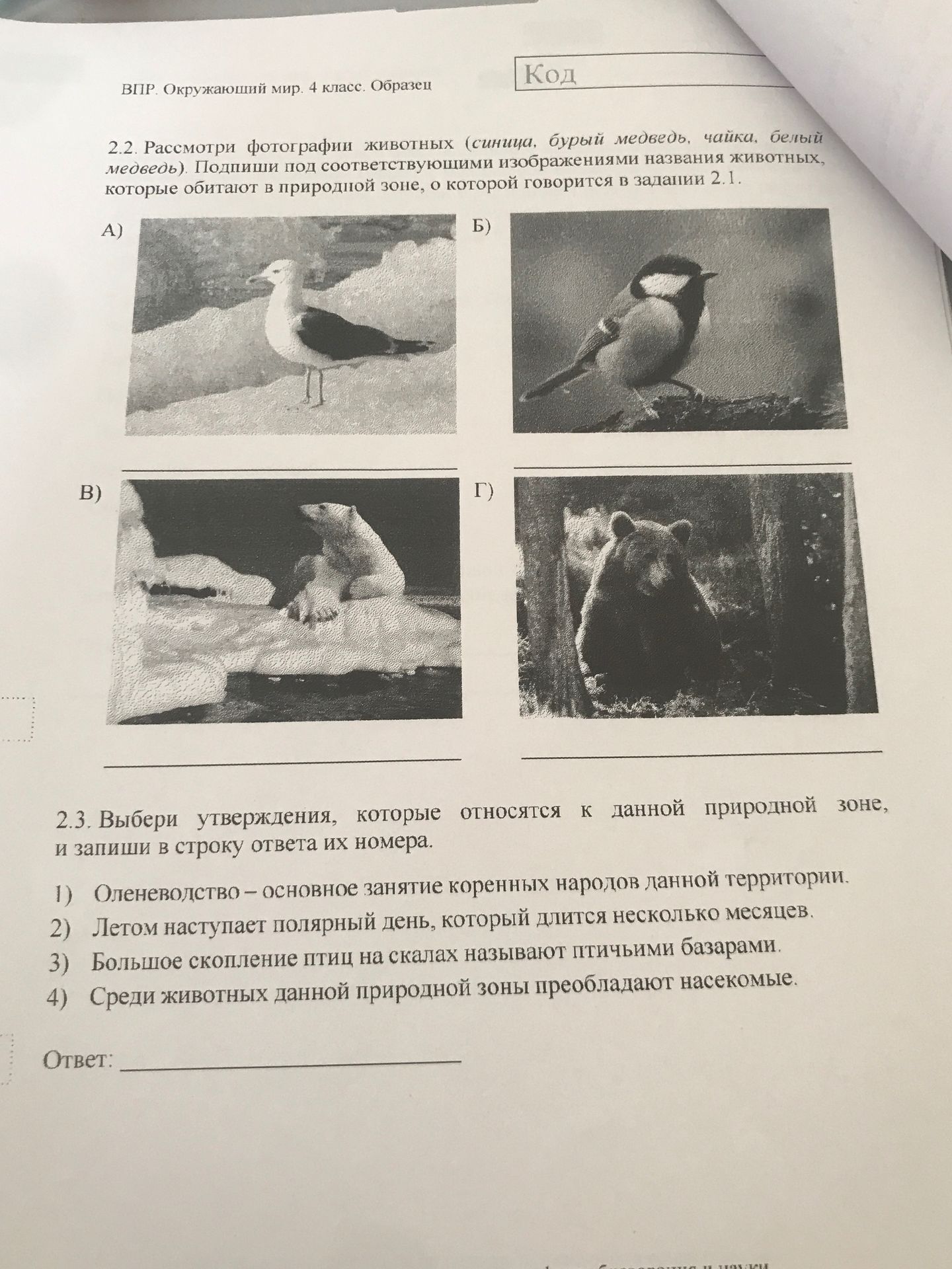 Фото задания: 2.2. Рассмотри фотографии животных (синица, бурый медведь, чайка, белый медведь). Подпиши под соответствующими…