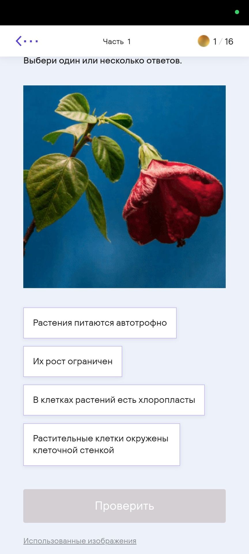 Фото задания: Выбери один или несколько ответов: растения питаются автотрофно; их рост ограничен; в клетках растений есть хлоропласты;…