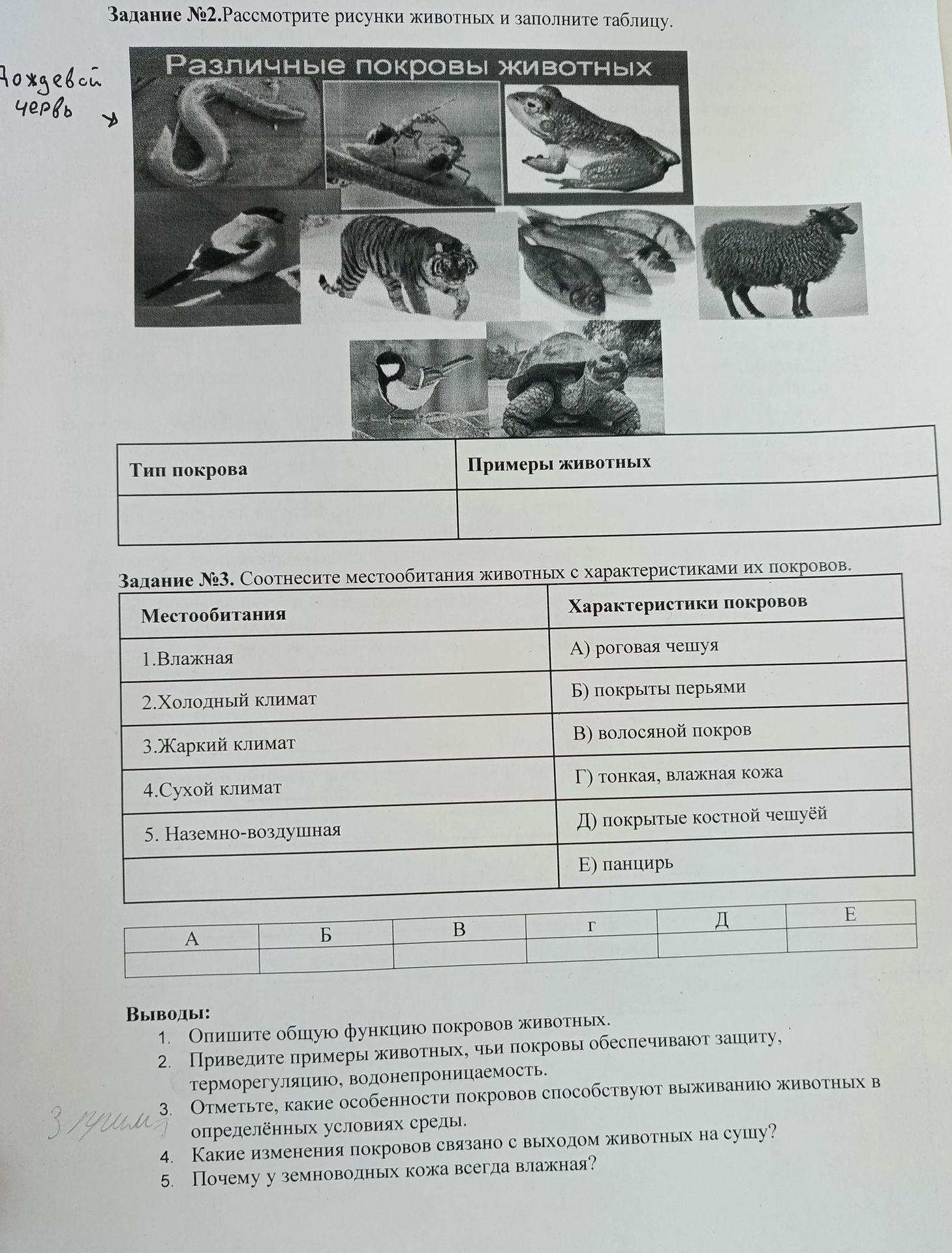 Фото задания: Выводы: 1. Опишите общую функцию покровов животных. 2. Приведите примеры животных, чьи покровы обеспечивают защиту,…