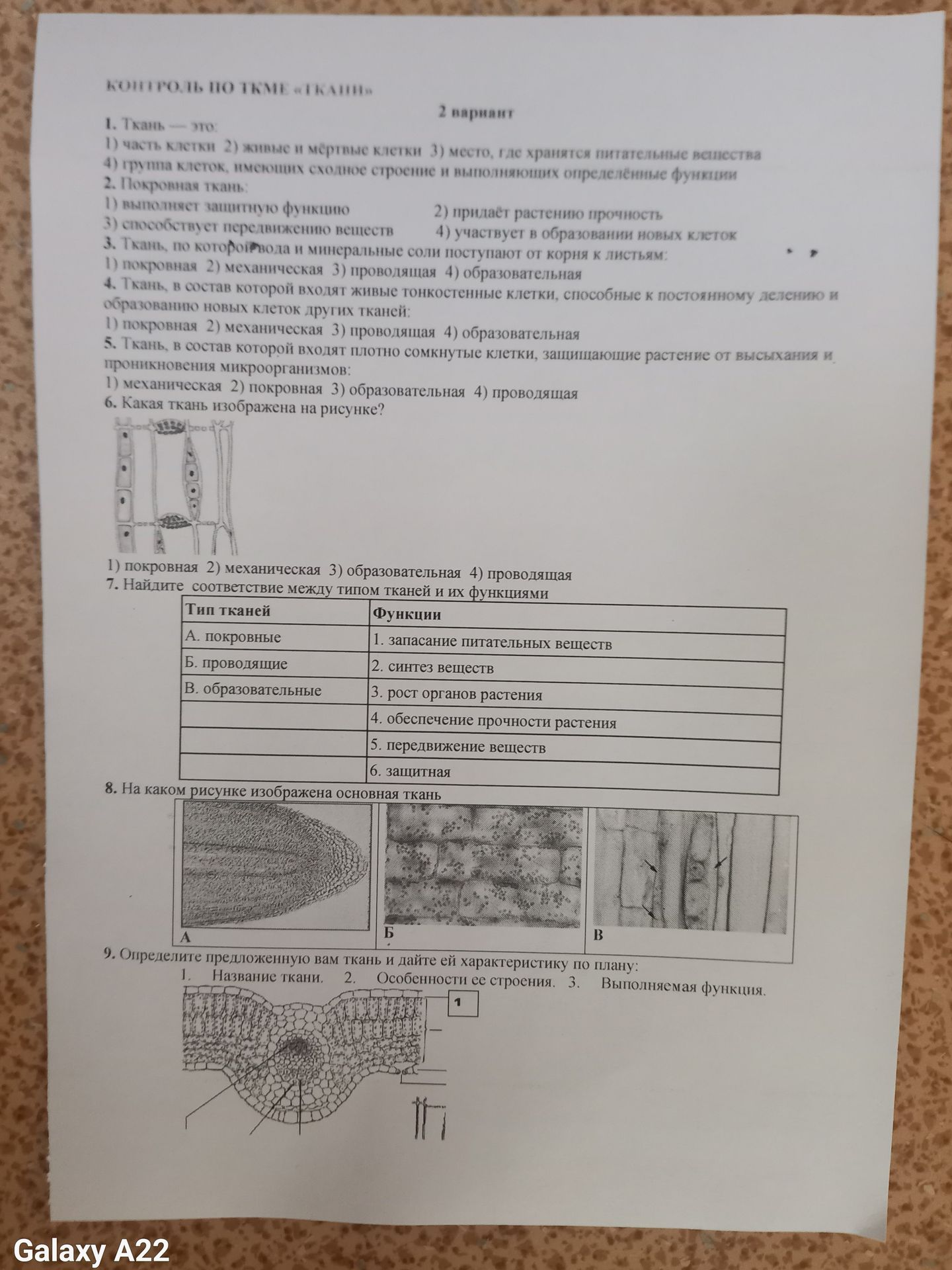 Фото задания: 2. Покровная ткань: 1) выполняет защитную функцию; 2) придаёт растению прочность; 3) способствует передвижению веществ; 4)…