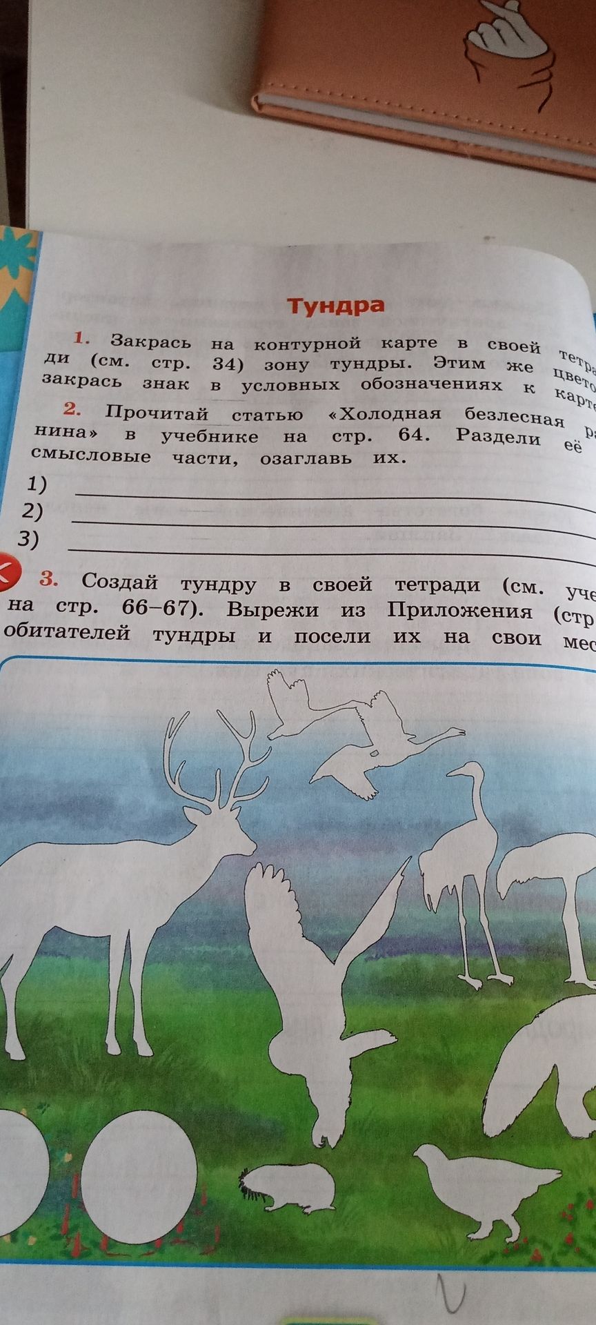 Фото задания: 2. Прочитай статью «Холодная безлесная равнина» в учебнике на стр. 64. Раздели её на смысловые части, озаглавь их.