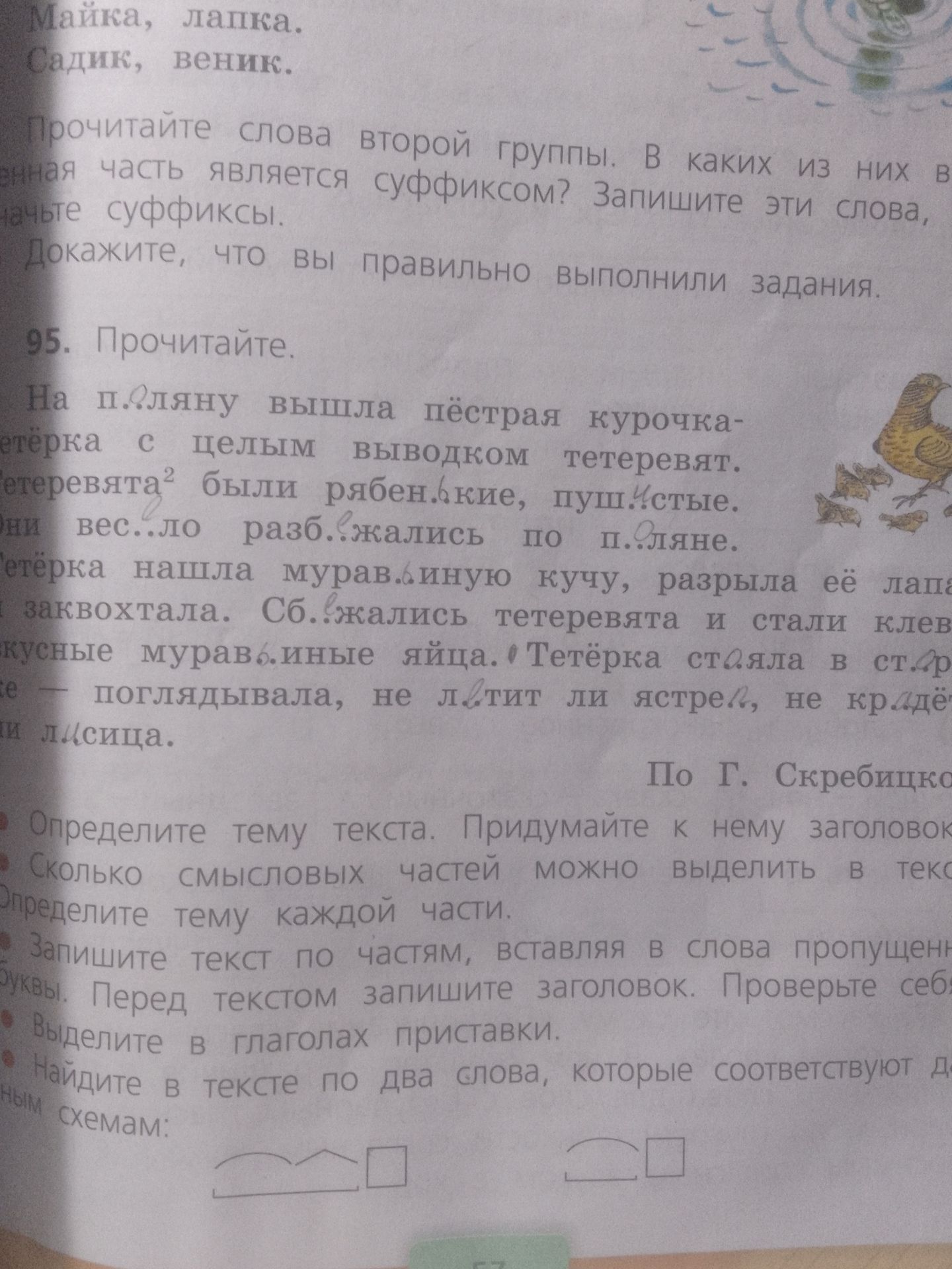 Фото задания: 95. Прочитайте. На поляну вышла пёстрая курочка-тетёрка с целым выводком тетеревят. Тетеревята были рябенькие, пушистые.…