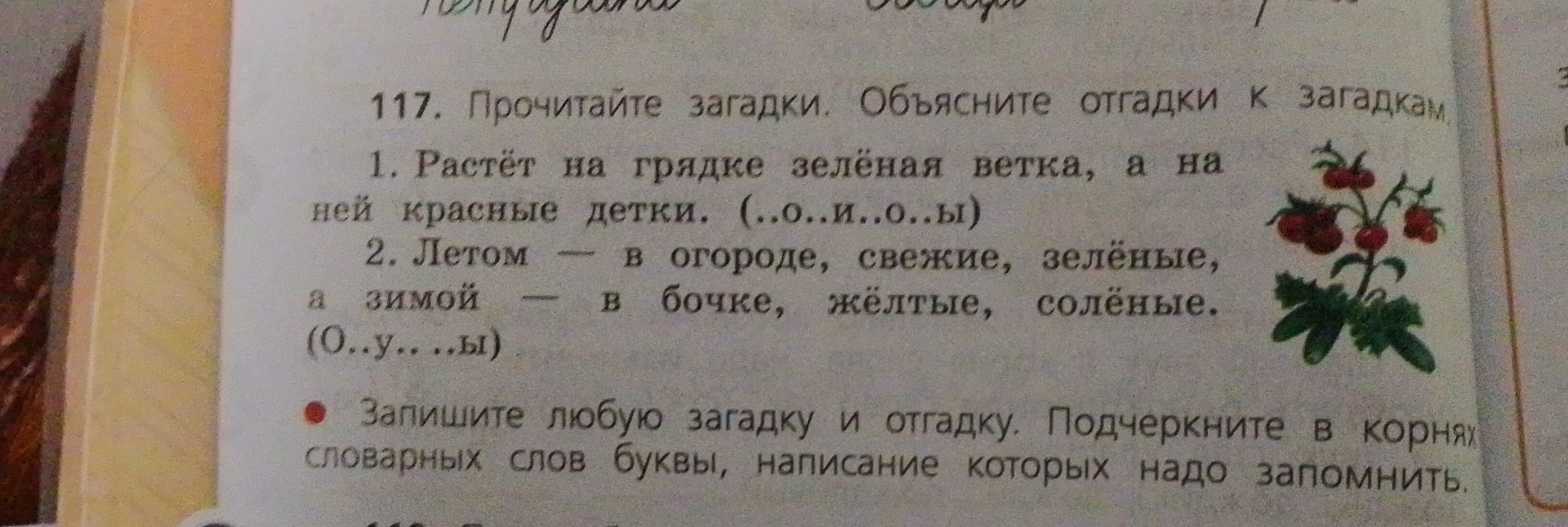Фото задания: 117. Прочитайте загадки. Объясните отгадки к загадкам. 1. Растёт на грядке зелёная ветка, а на ней красные детки.…