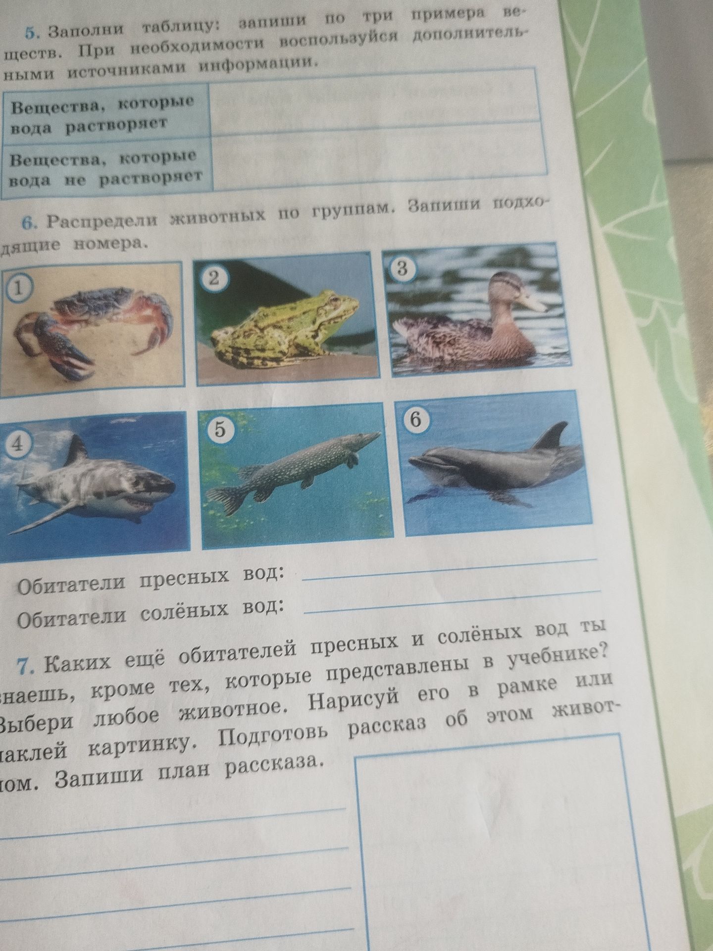 Фото задания: 6. Распредели животных по группам. Запиши подходящие номера. Обитатели пресных вод: ____. Обитатели солёных вод: ____. На…