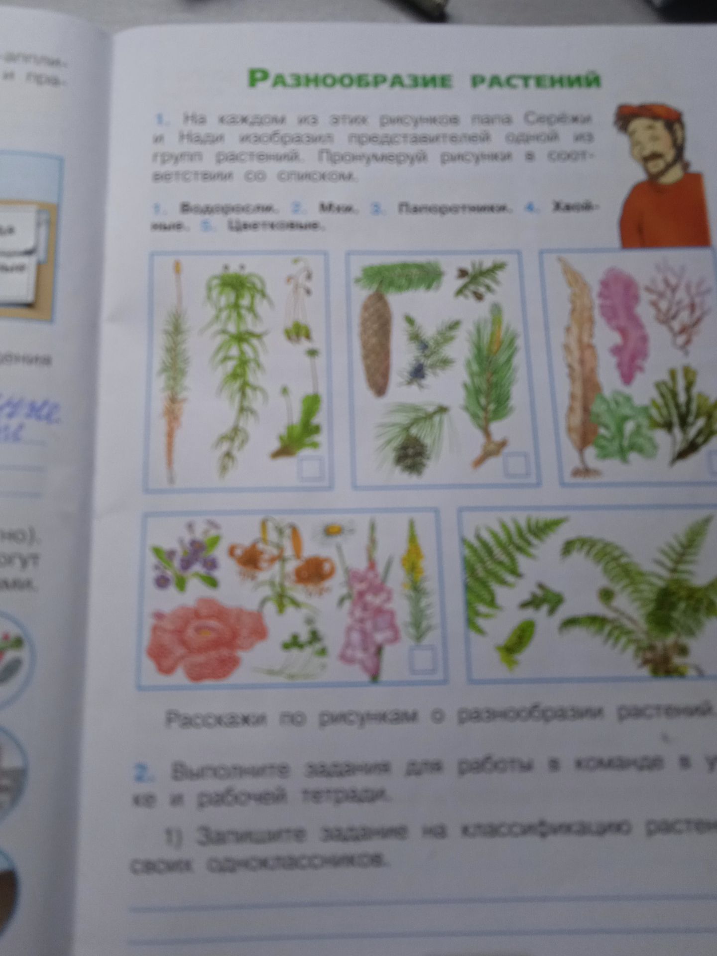 Фото задания: 1. На каждом из этих рисунков папа Серёжи и Нади изобразил представителей одной из групп растений. Пронумеруй рисунки в…