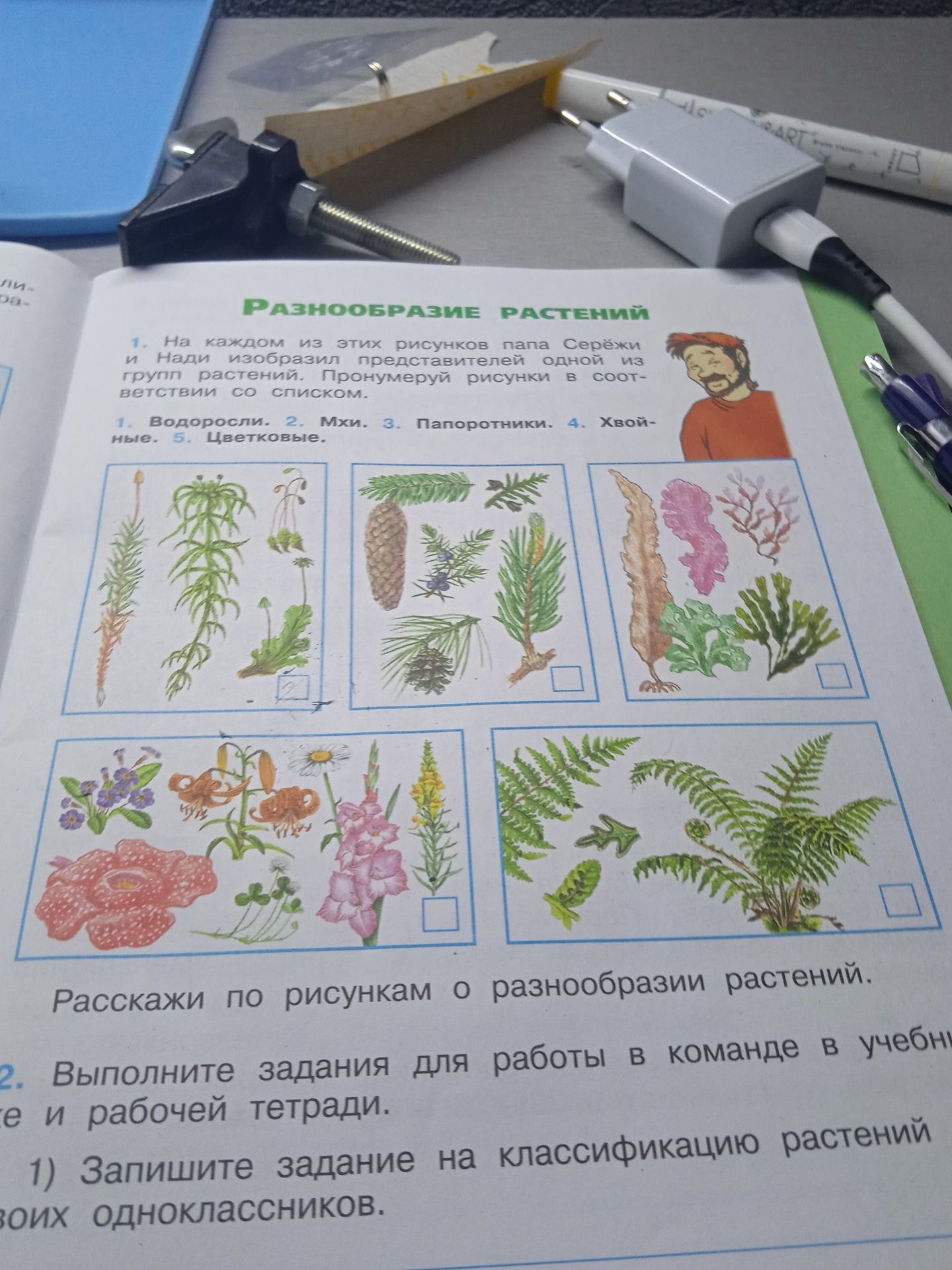 Фото задания: 2. Выполните задания для работы в команде в учебнике и рабочей тетради. 1) Запишите задание на классификацию растений для…