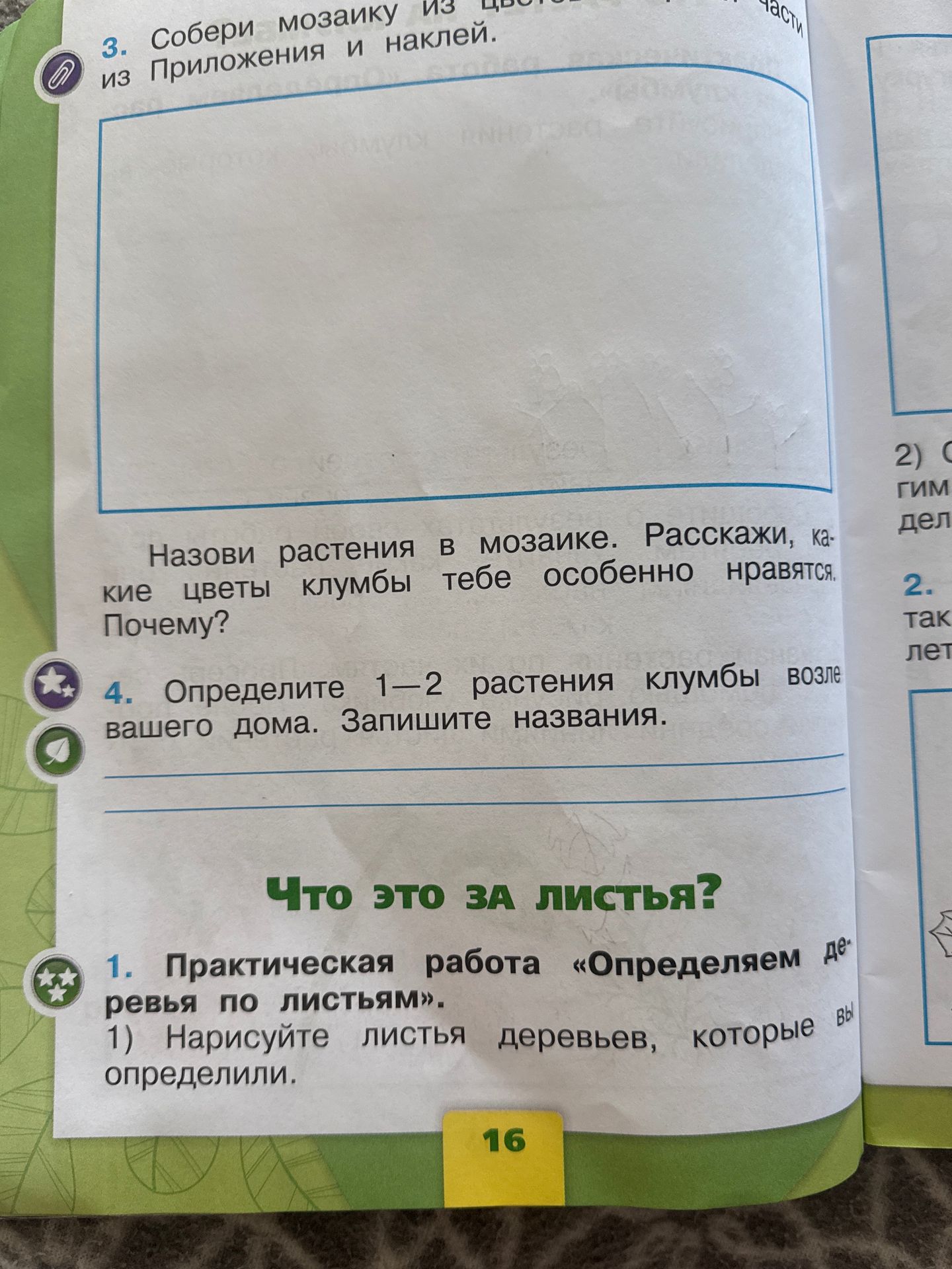 Фото задания: 4. Определите 1—2 растения клумбы возле вашего дома. Запишите названия.