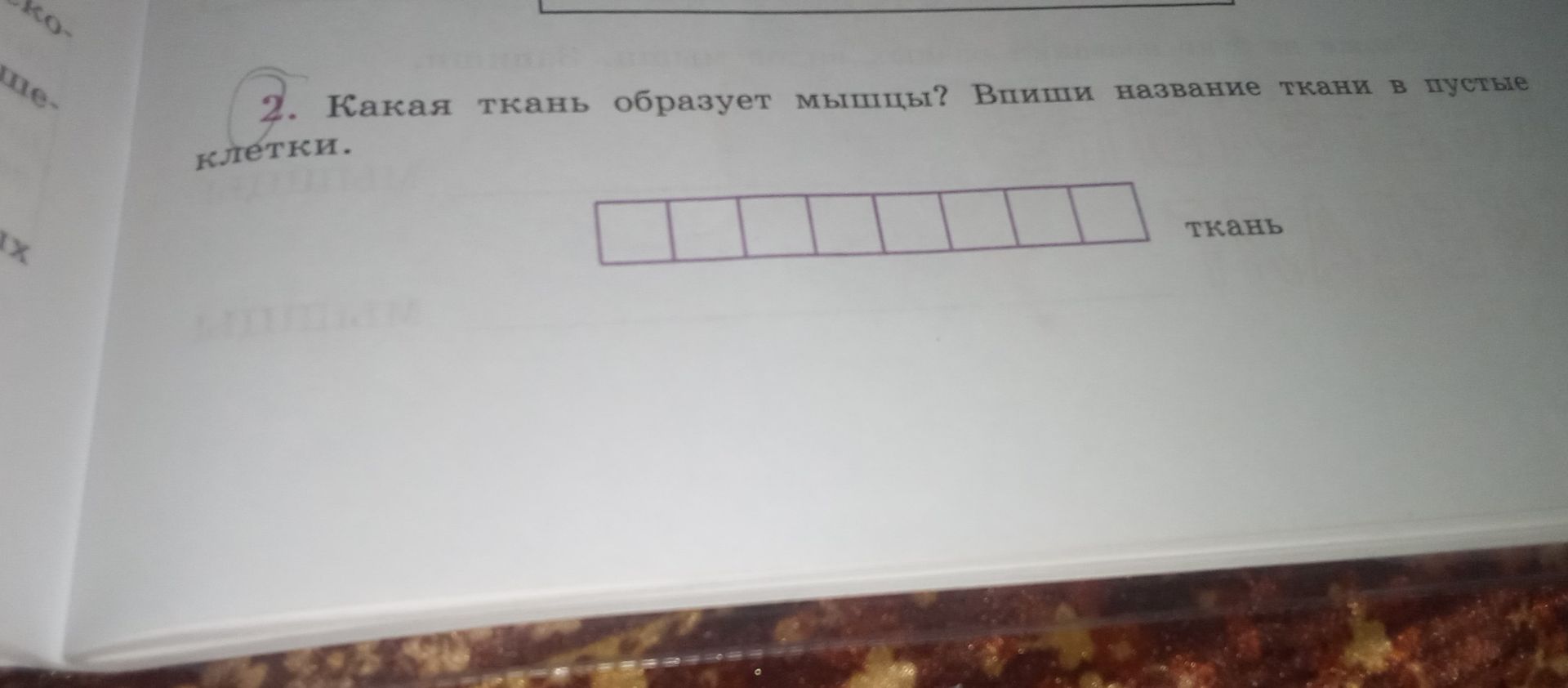 Фото задания: 2. Какая ткань образует мышцы? Впиши название ткани в пустые клетки.