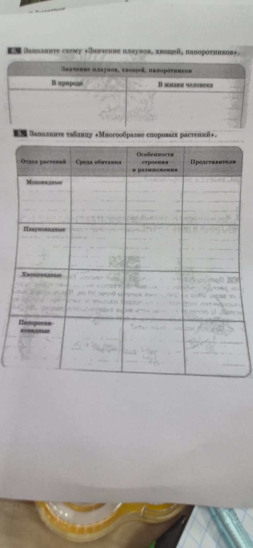 Фото задания: Заполните таблицу «Многообразие споровых растений»: отдел растений, среда обитания, особенности строения и размножения,…