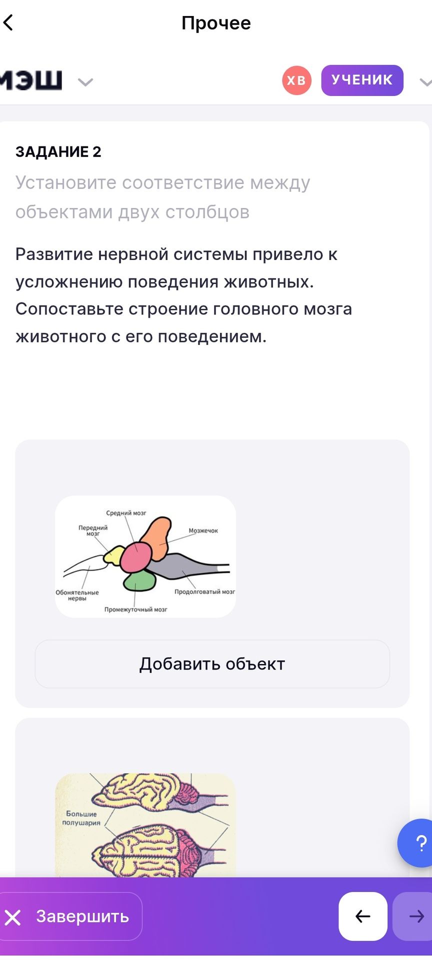 Фото задания: Задание 2. Установите соответствие между объектами двух столбцов. Развитие нервной системы привело к усложнению поведения…