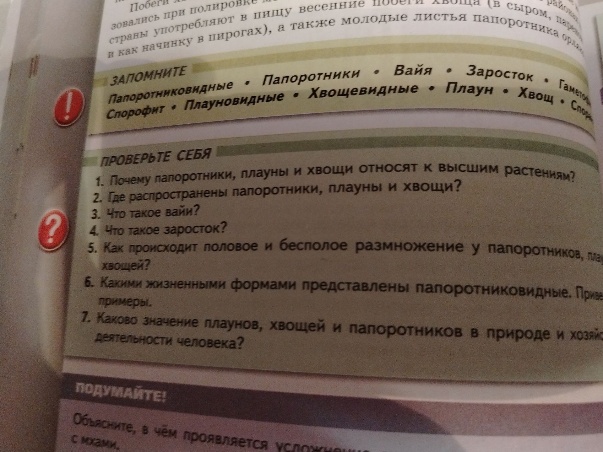 Фото задания: 3. Что такое вайя?