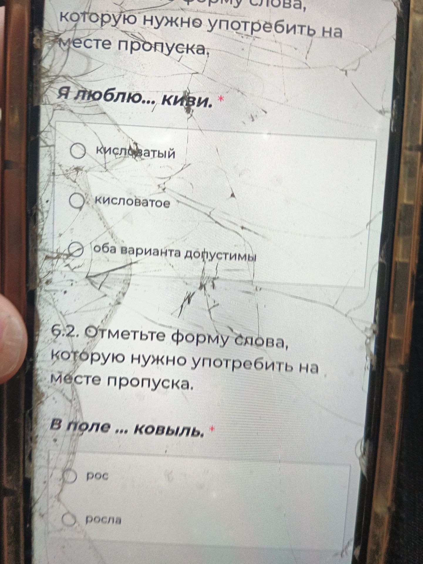 Фото задания: 6.1. Отметьте форму слова, которую нужно употребить на месте пропуска: «Я люблю ... киви». Варианты: кислый; кисловатое;…