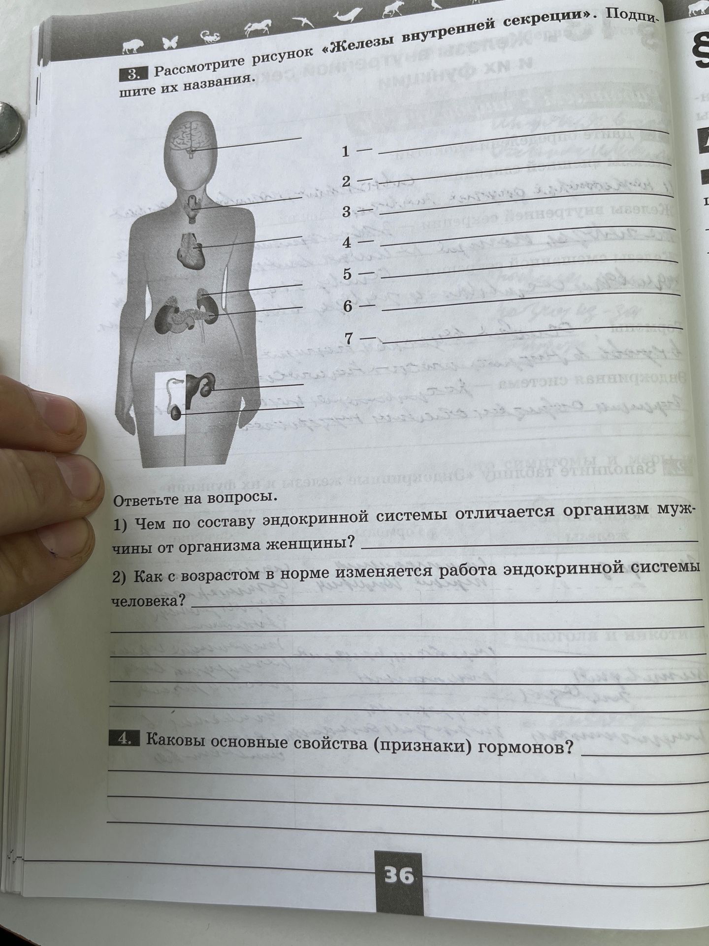 Фото задания: 4. Каковы основные свойства (признаки) гормонов?